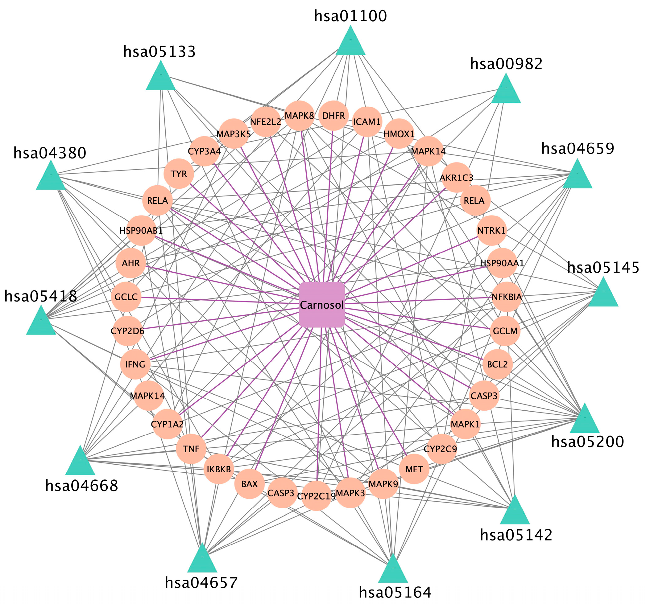 Scipharm 91 00019 g006 Scipharm 91 00019 g006