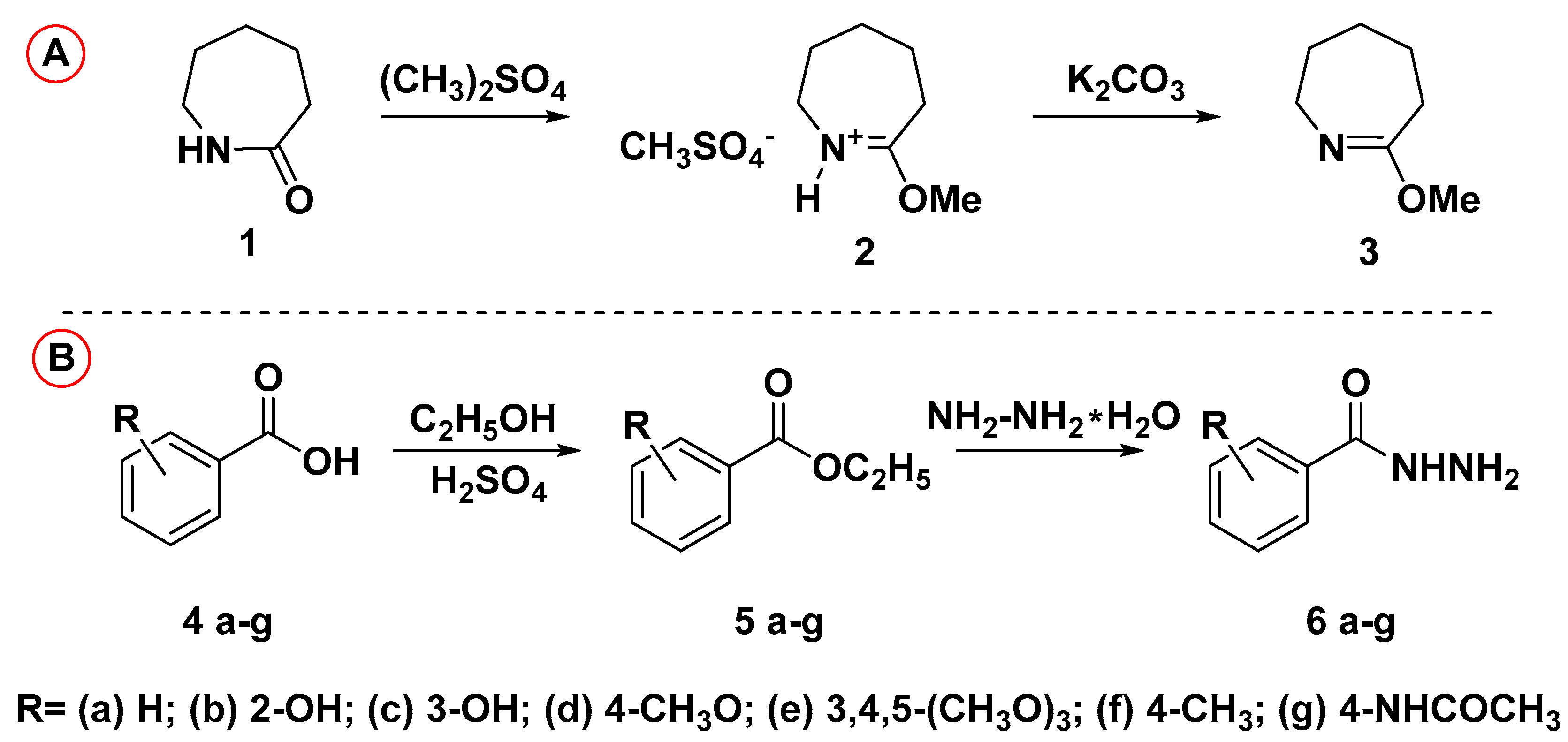 Scipharm 91 00026 sch001 Scipharm 91 00026 sch001
