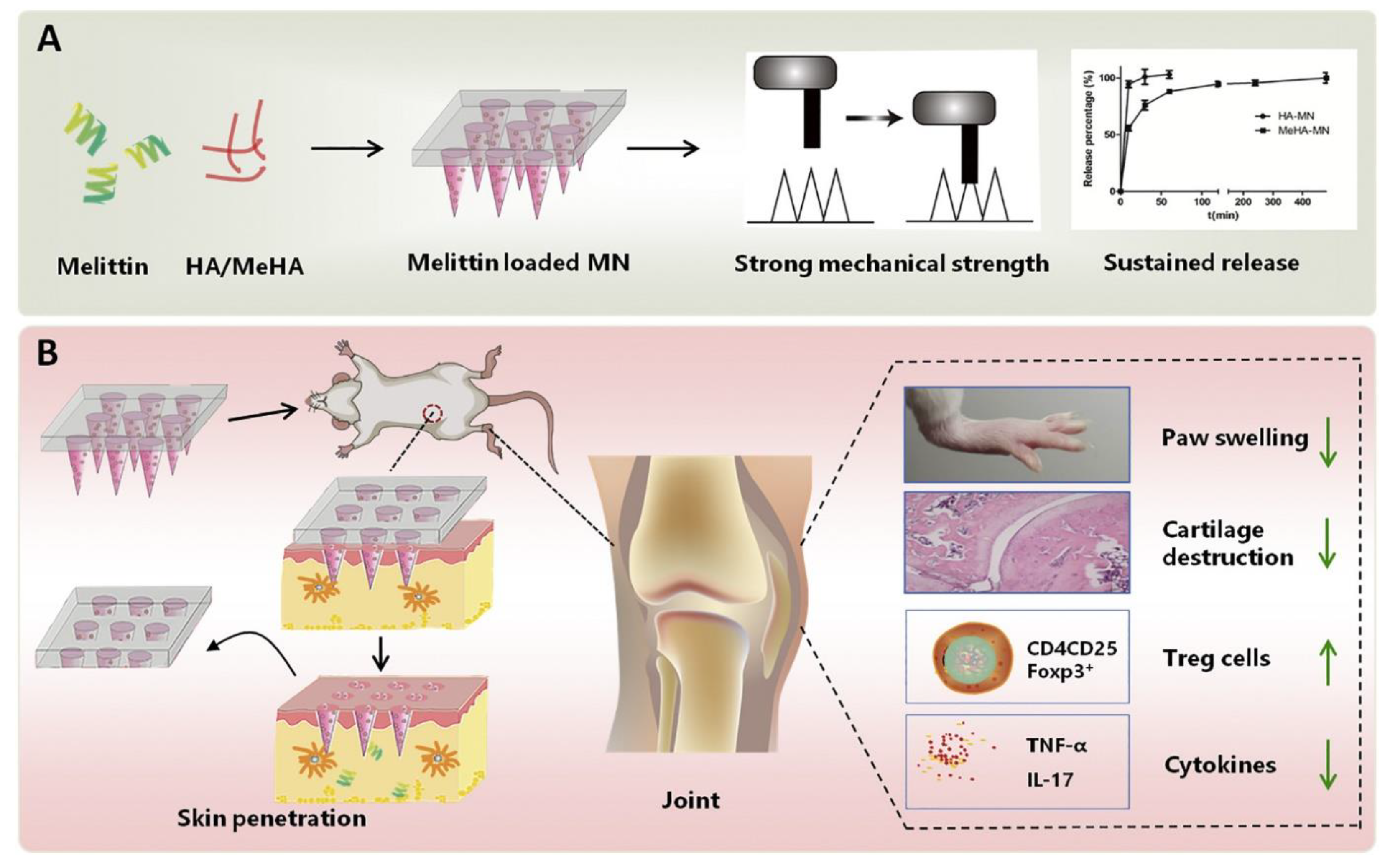 Scipharm 91 00027 g008 Scipharm 91 00027 g008