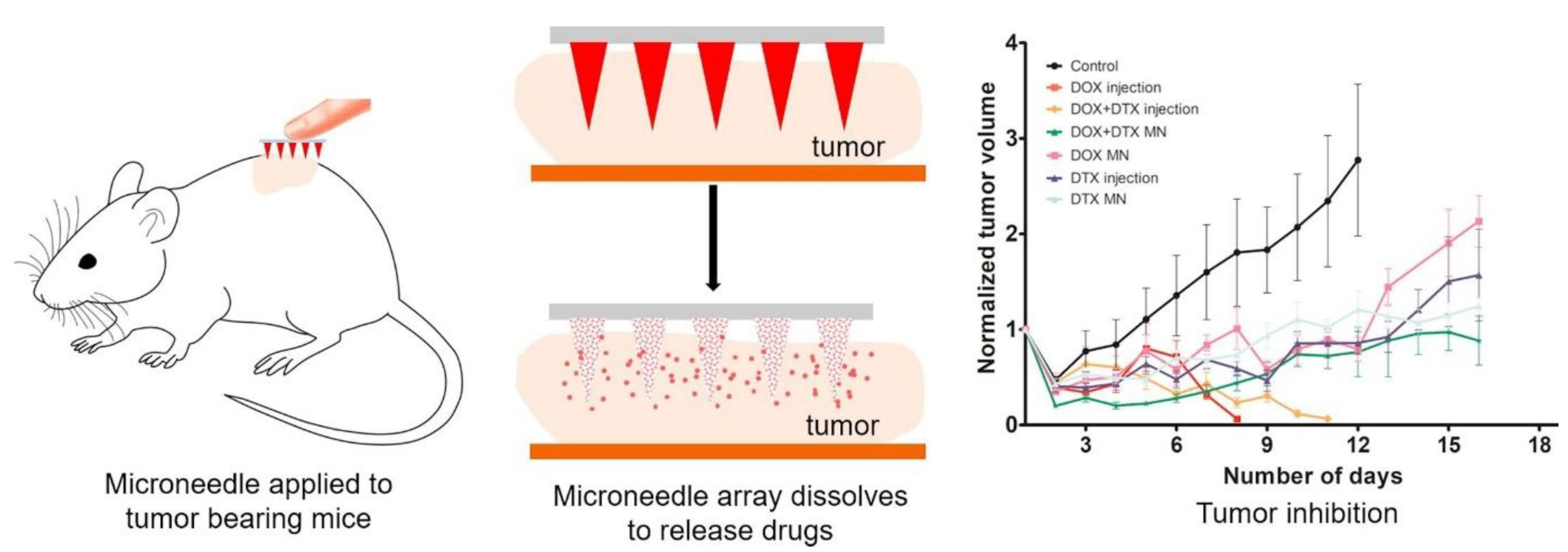 Scipharm 91 00027 g010 Scipharm 91 00027 g010
