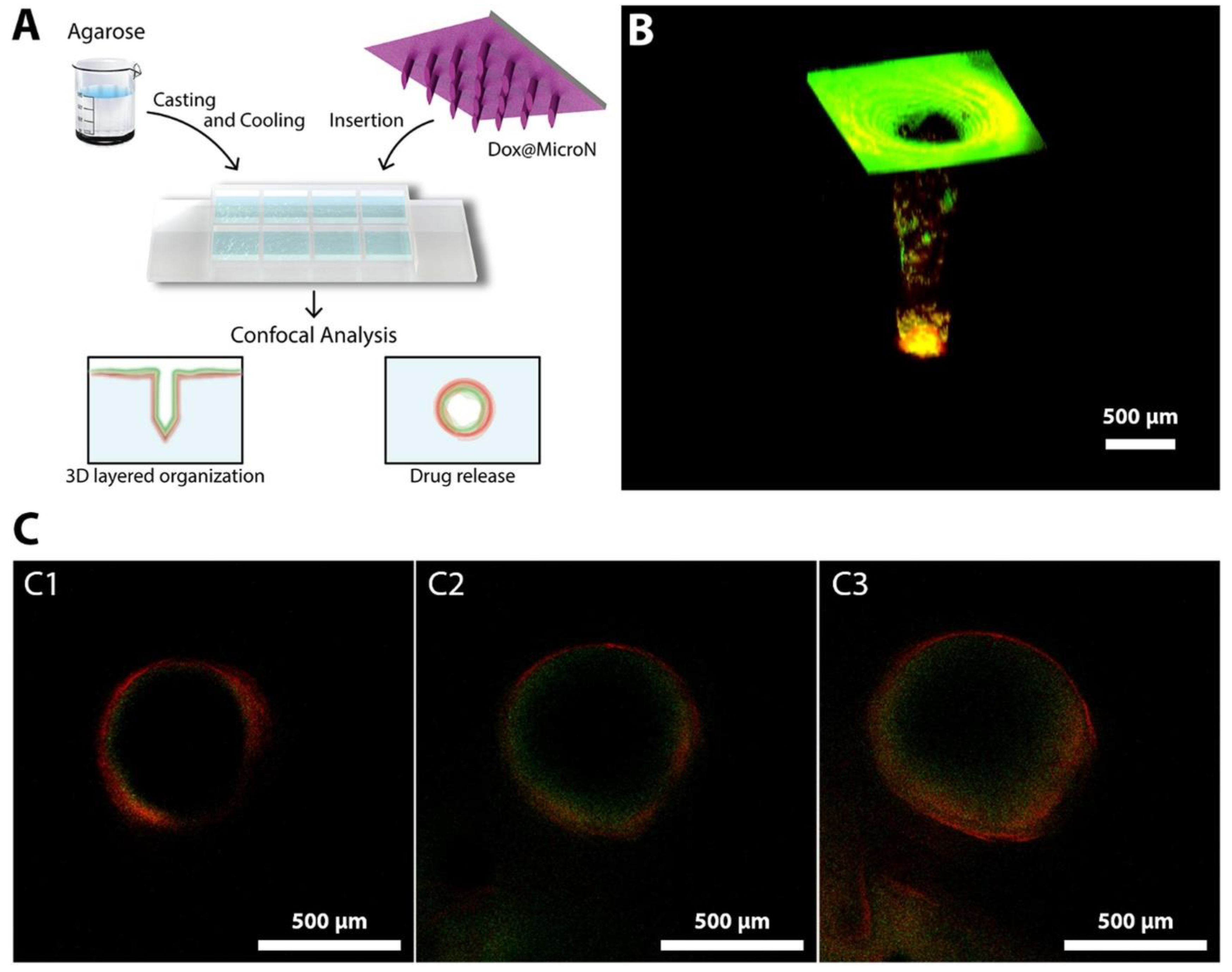 Scipharm 91 00027 g011 Scipharm 91 00027 g011