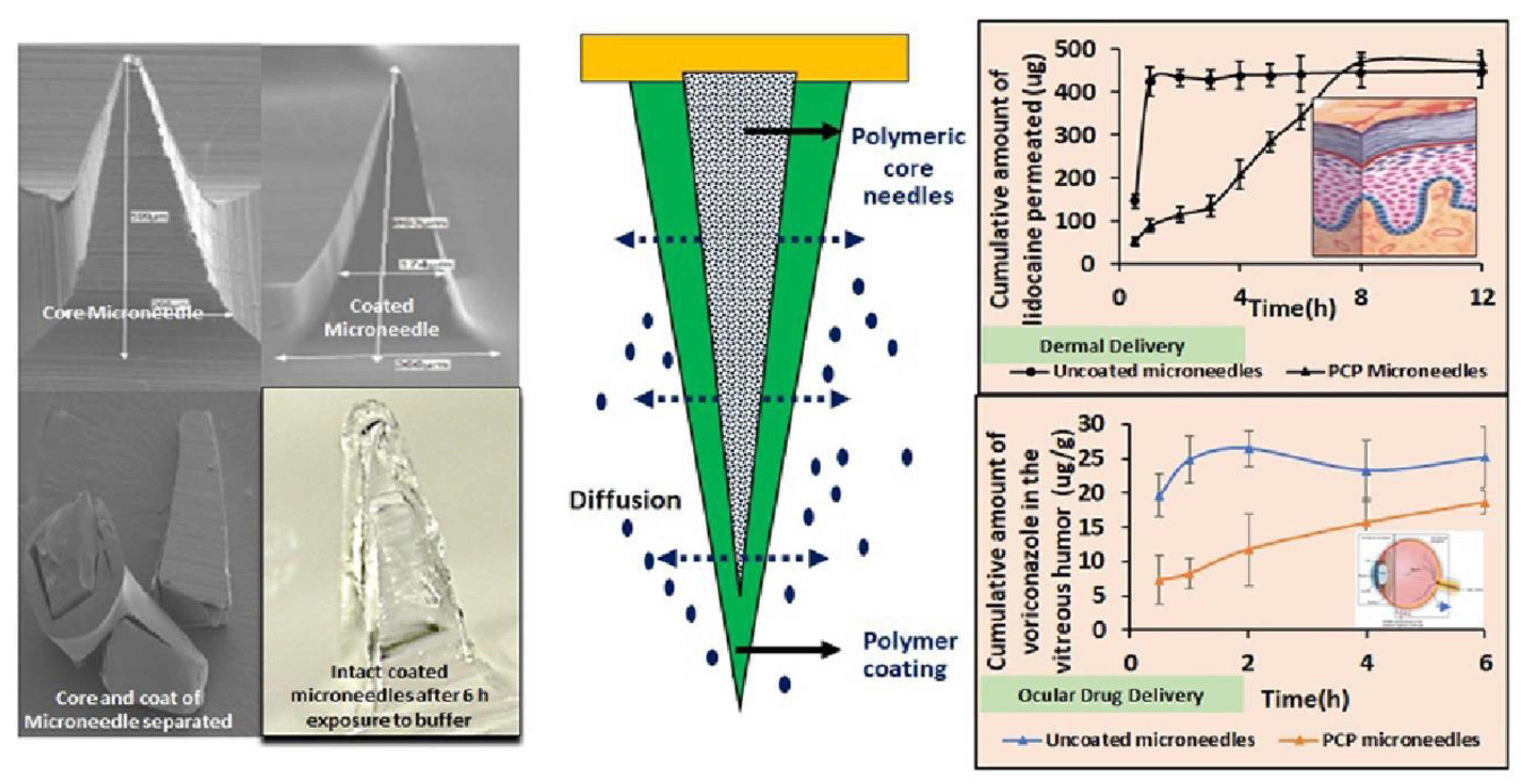 Scipharm 91 00027 g014 Scipharm 91 00027 g014