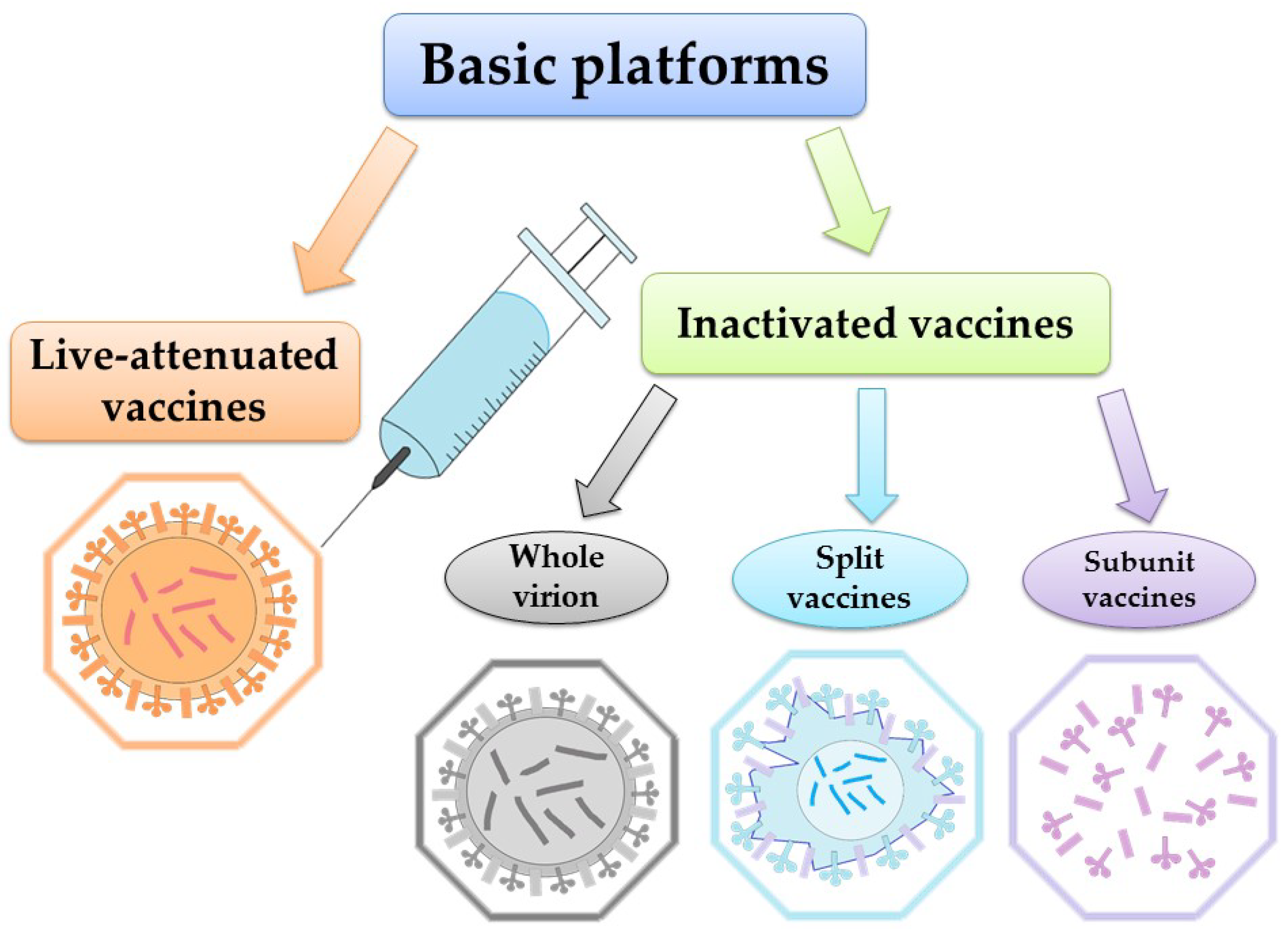 Scipharm 91 00028 g001 Scipharm 91 00028 g001