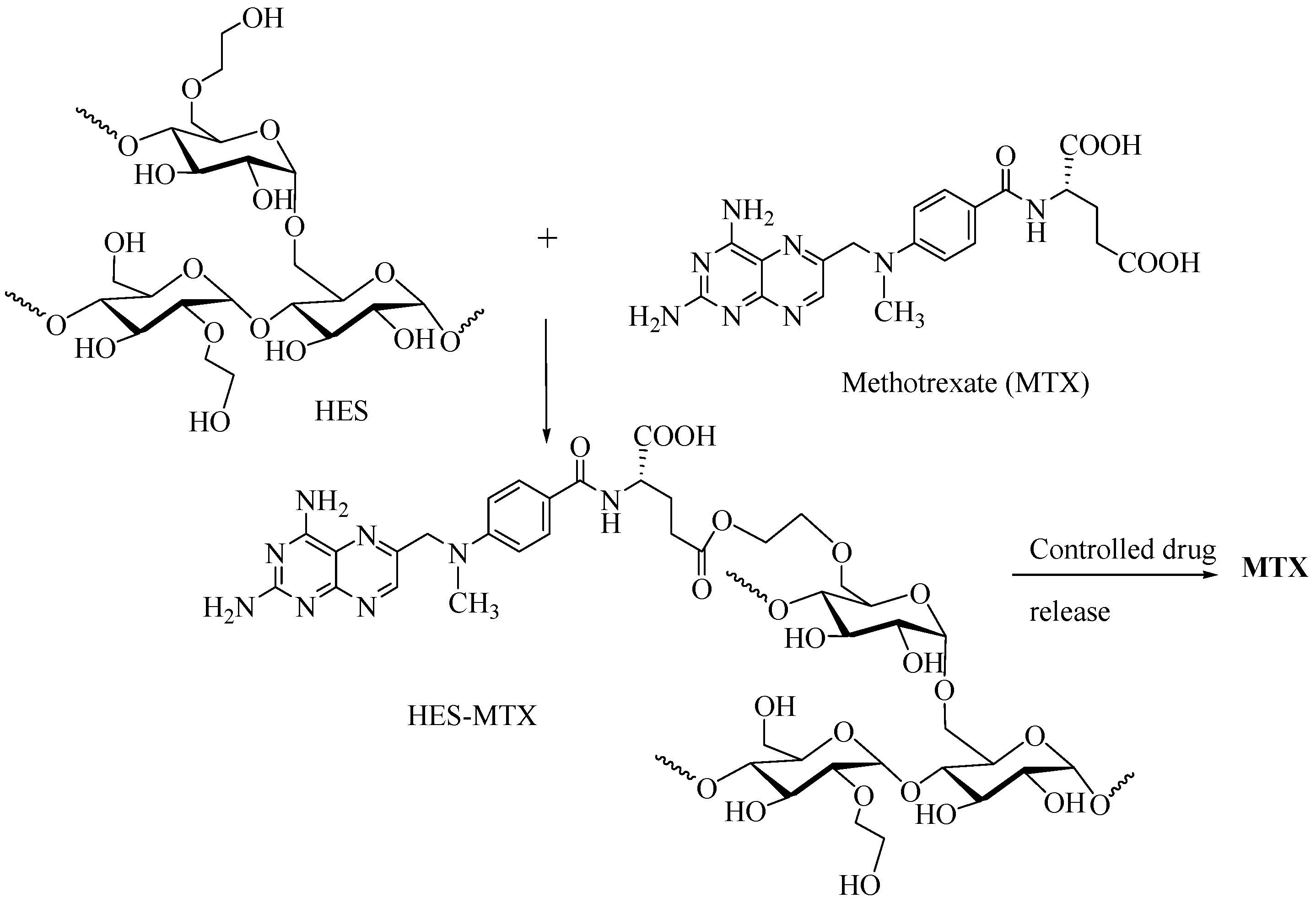 Scipharm 91 00032 g005 Scipharm 91 00032 g005