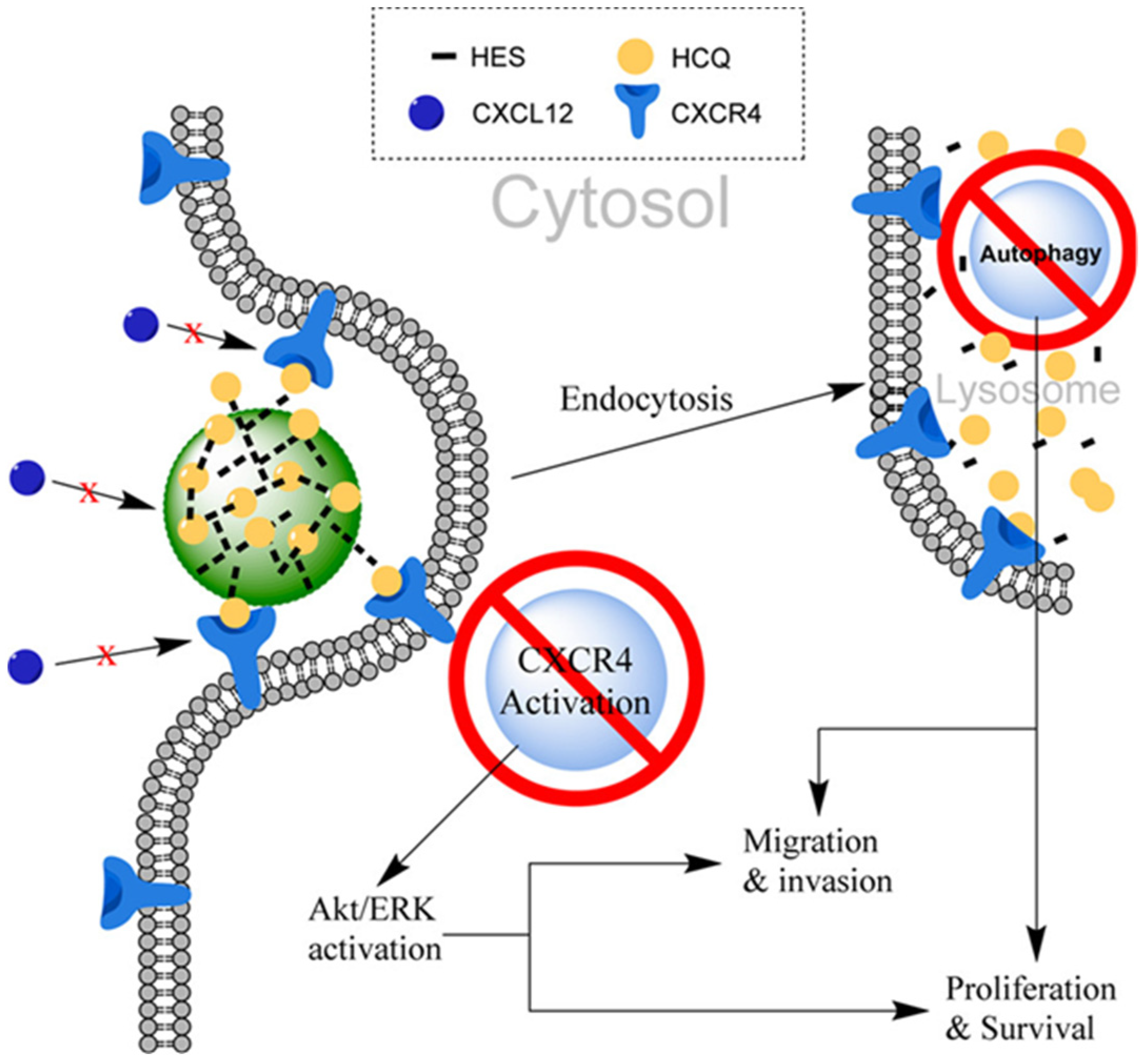 Scipharm 91 00032 g007 Scipharm 91 00032 g007