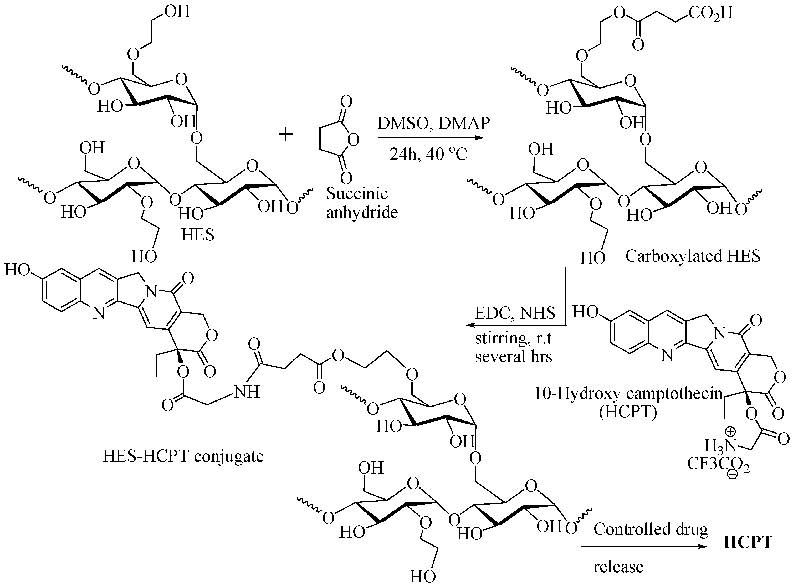 Scipharm 91 00032 g010 Scipharm 91 00032 g010