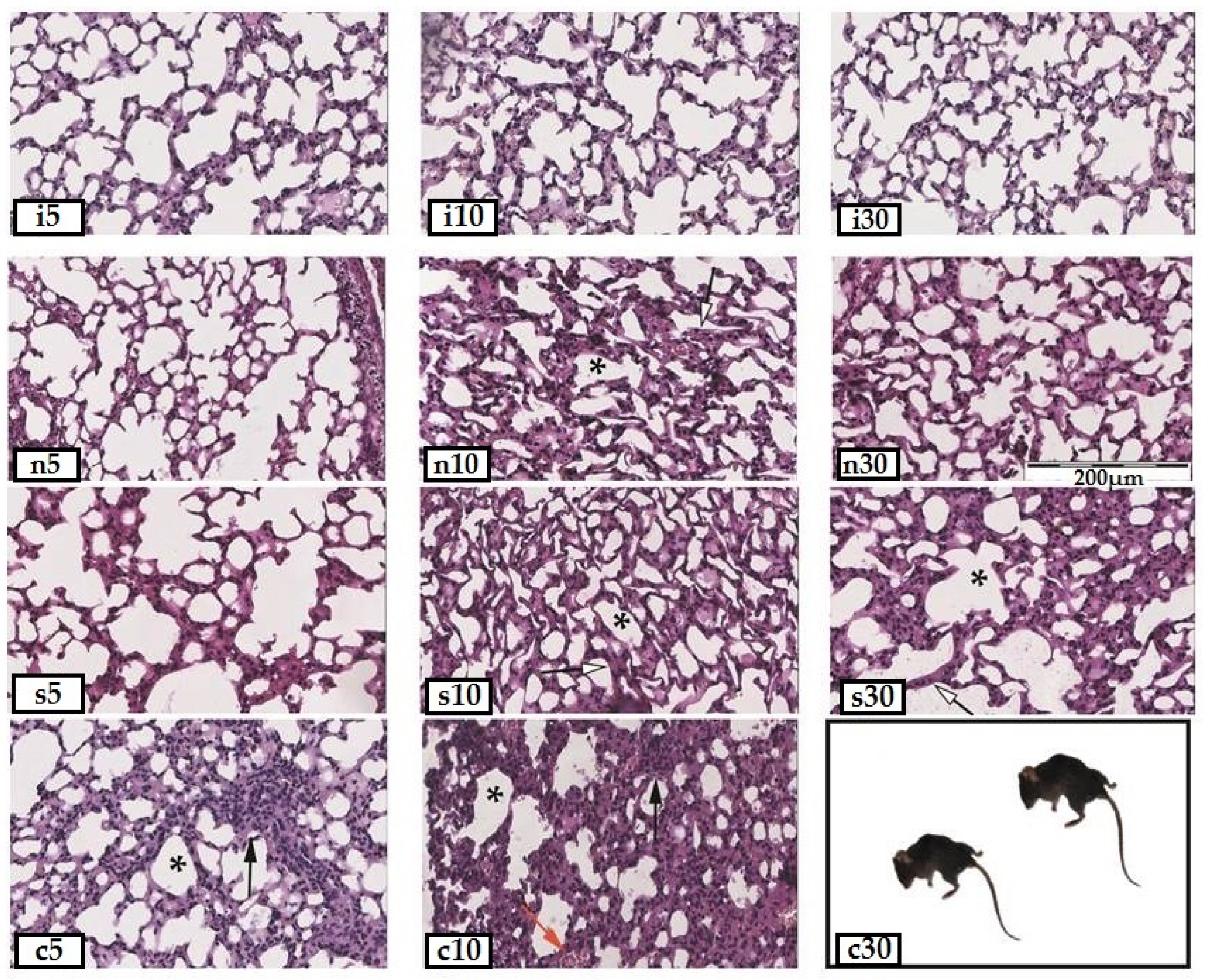 Scipharm 91 00035 g002 Scipharm 91 00035 g002