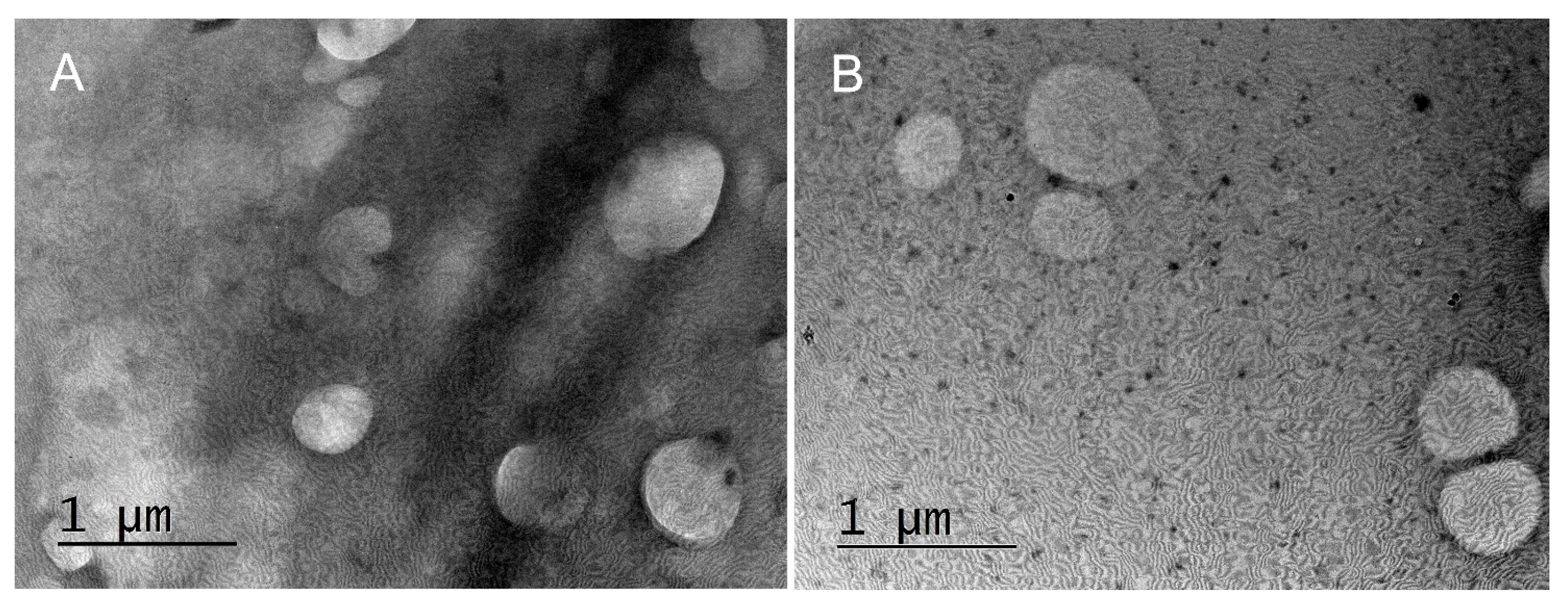 Scipharm 91 00037 g005