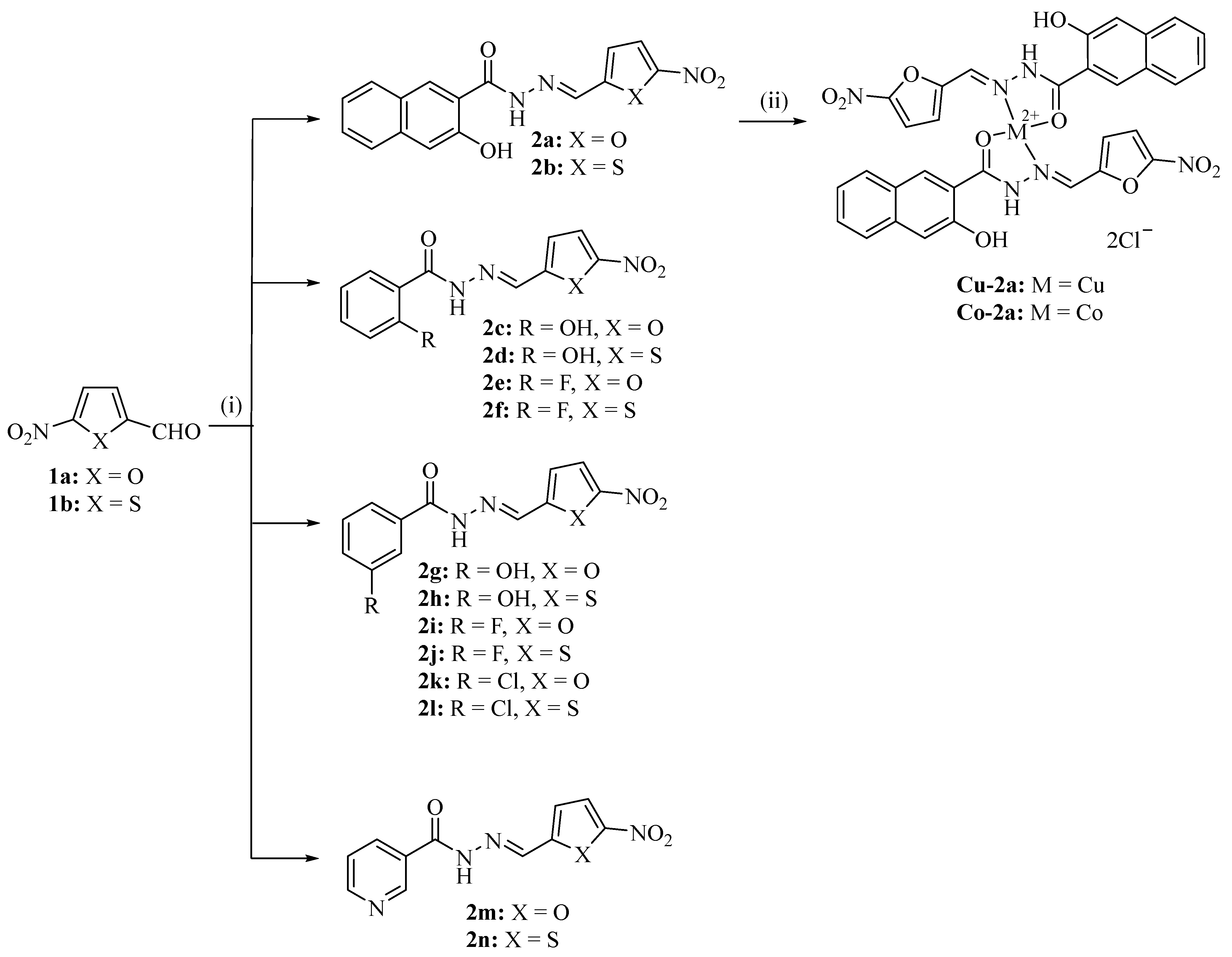 Scipharm 91 00044 sch001