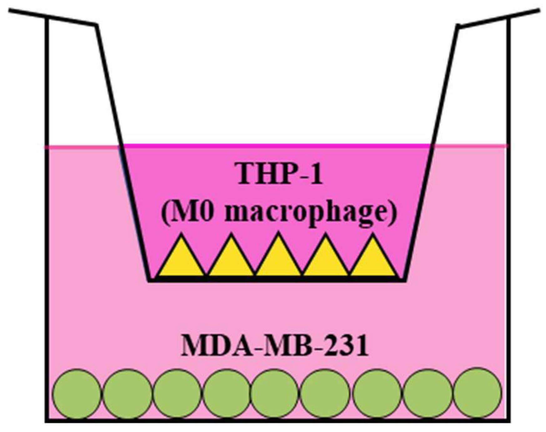 Scipharm 91 00048 g001 Scipharm 91 00048 g001