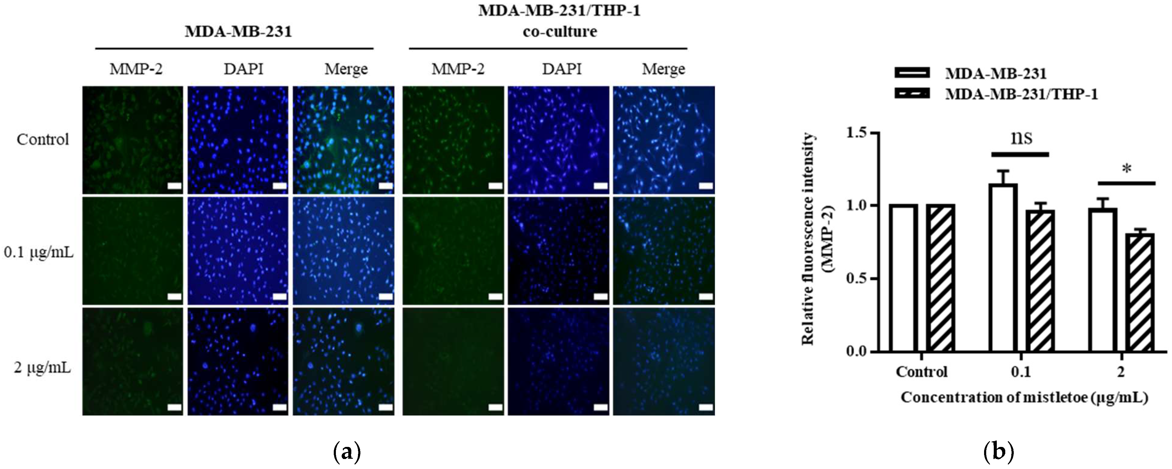 Scipharm 91 00048 g011 Scipharm 91 00048 g011