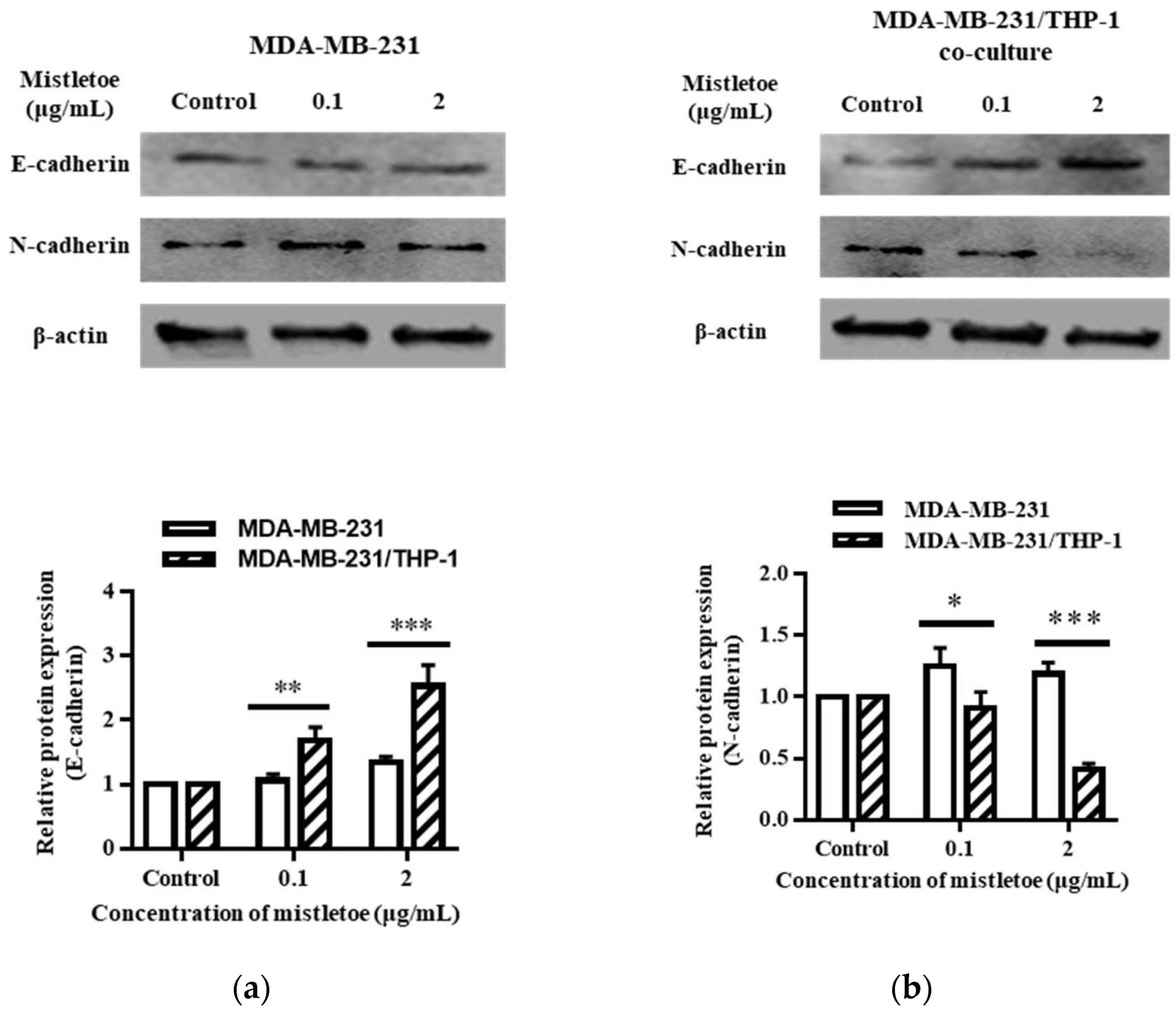 Scipharm 91 00048 g012 Scipharm 91 00048 g012