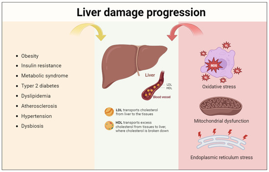 Natural Products for the Treatment of Non-Alcoholic Fatty Liver Disease: A Comprehensive Review Natural Products for the Treatment of Non-Alcoholic Fatty Liver Disease: A Comprehensive Review