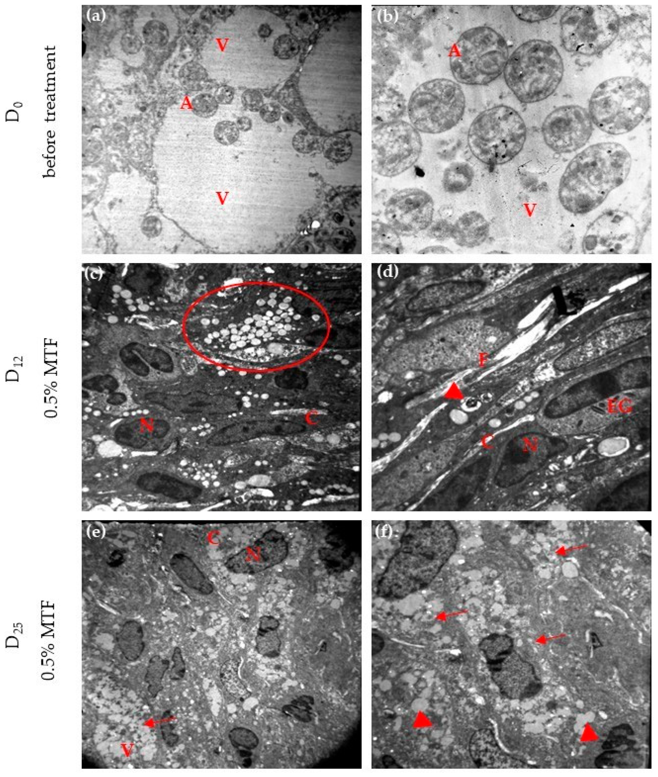 Scipharm 91 00054 g004 Scipharm 91 00054 g004