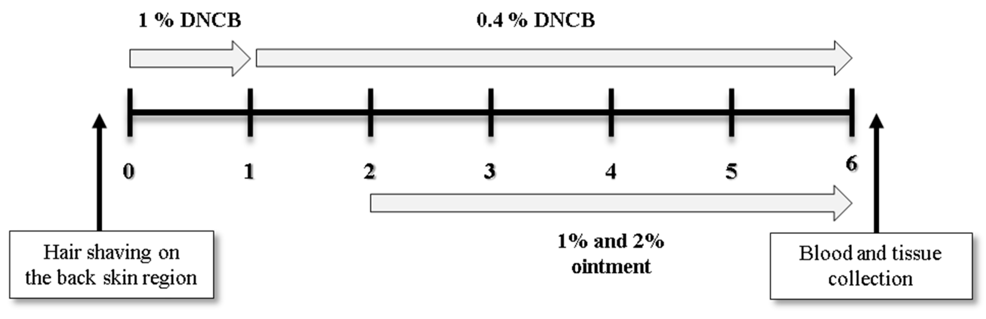 Scipharm 92 00003 g001
