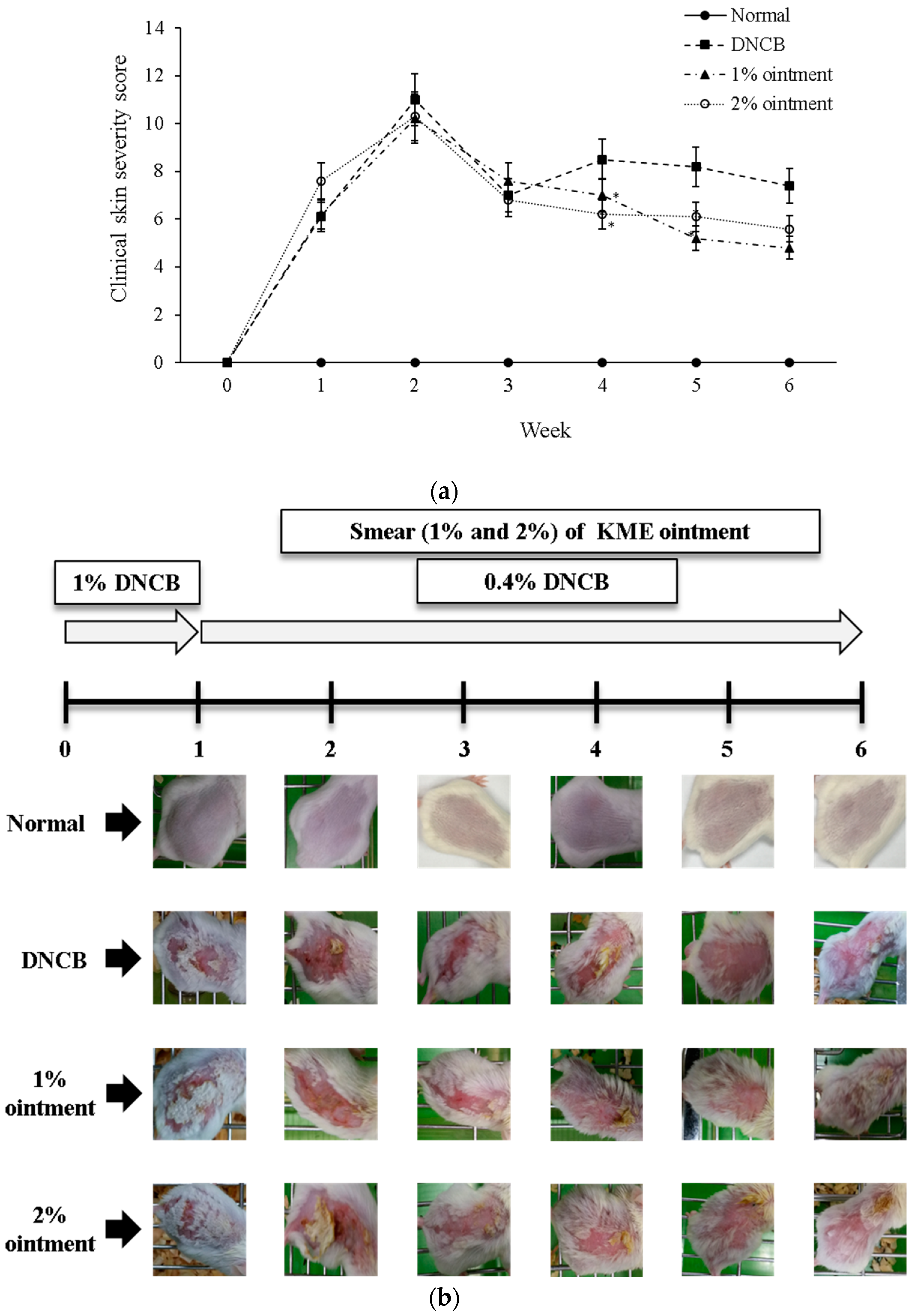 Scipharm 92 00003 g003