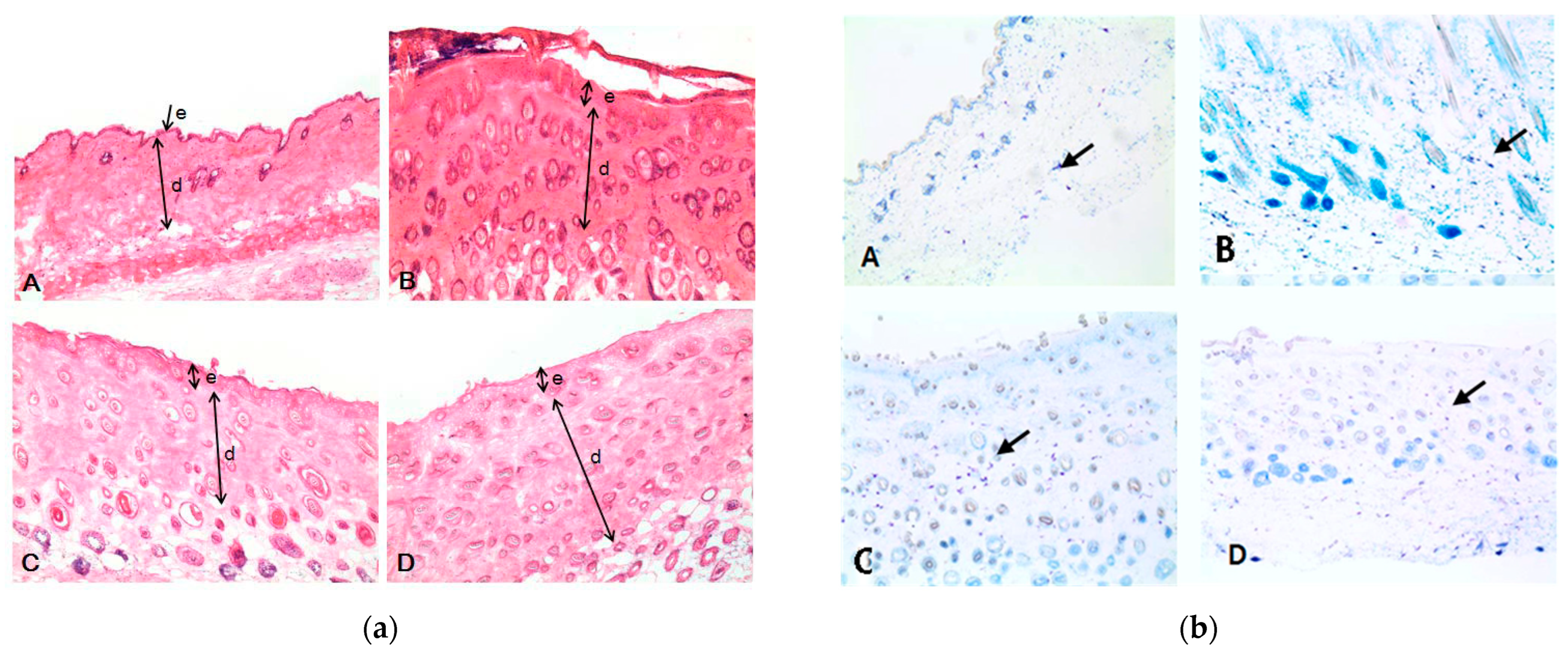 Scipharm 92 00003 g005