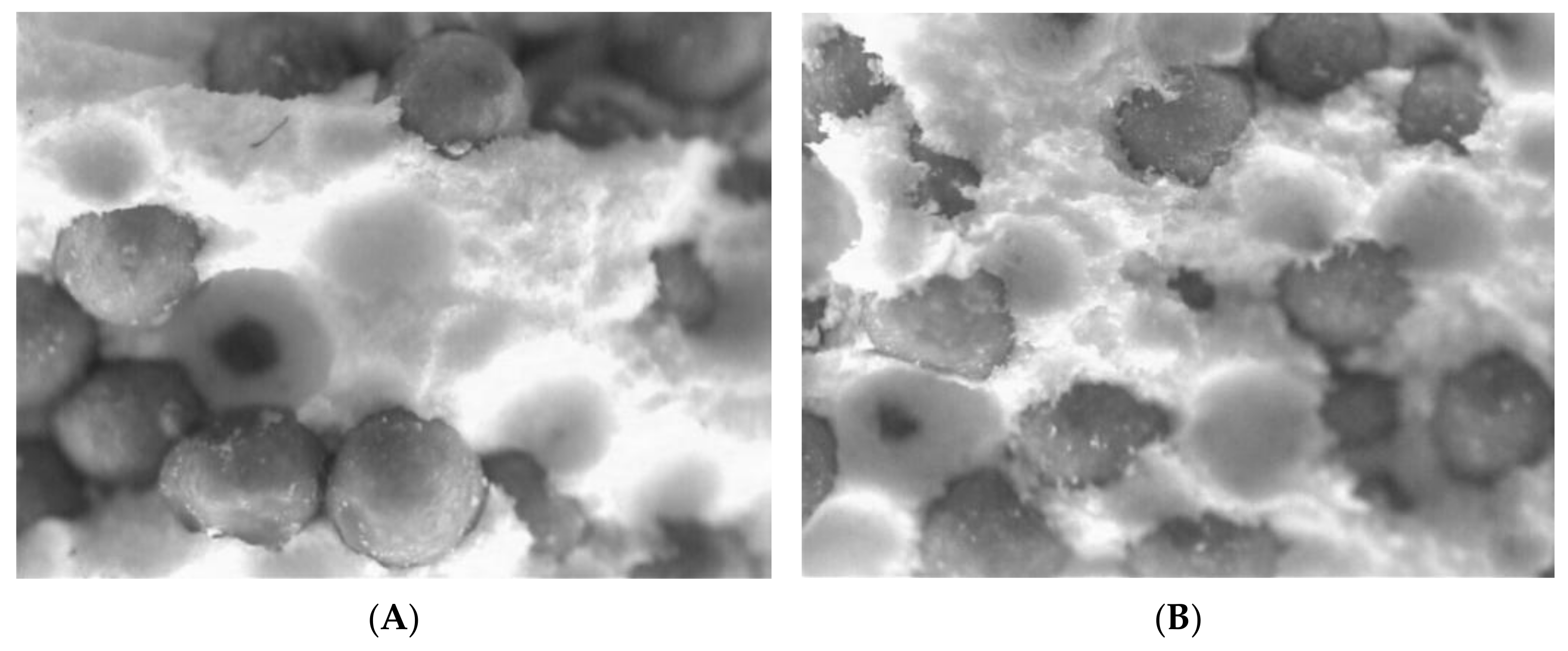 Scipharm 92 00008 g001 Scipharm 92 00008 g001