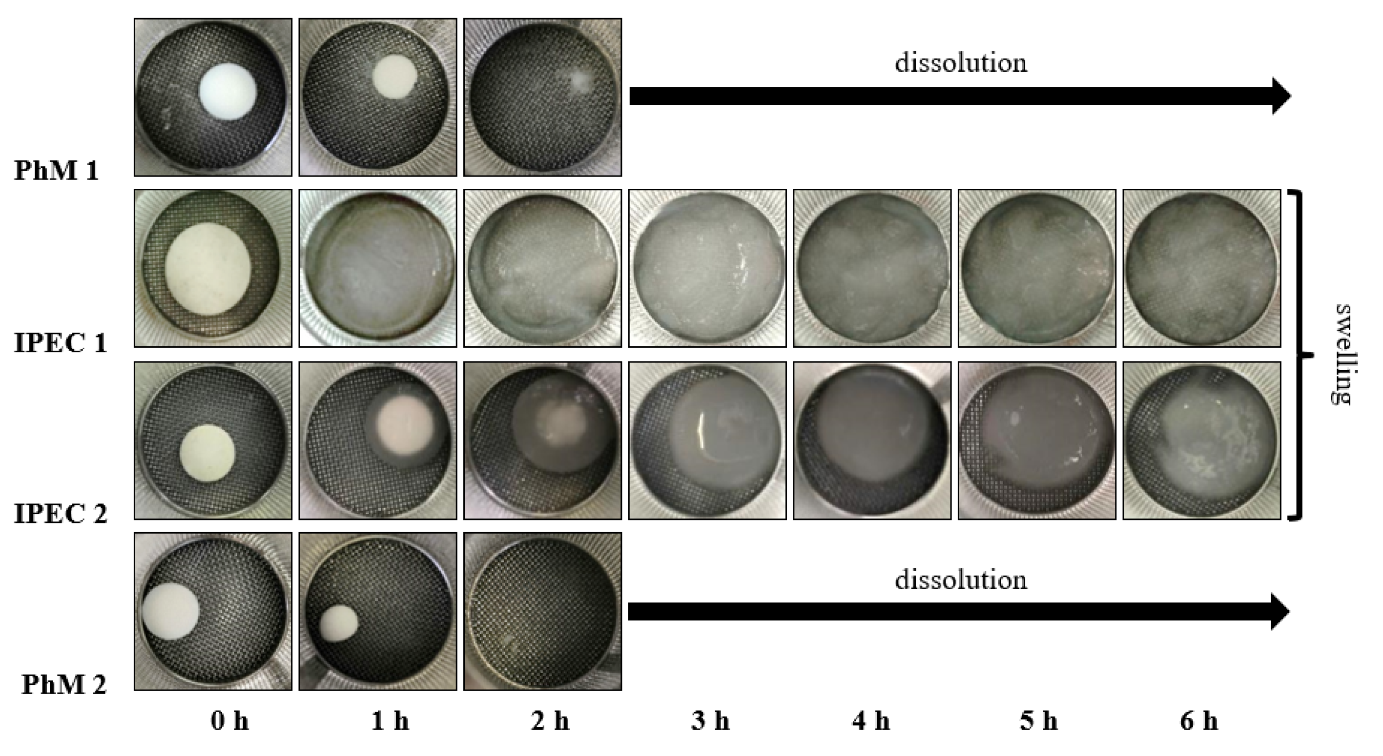 Scipharm 92 00014 g001 Scipharm 92 00014 g001
