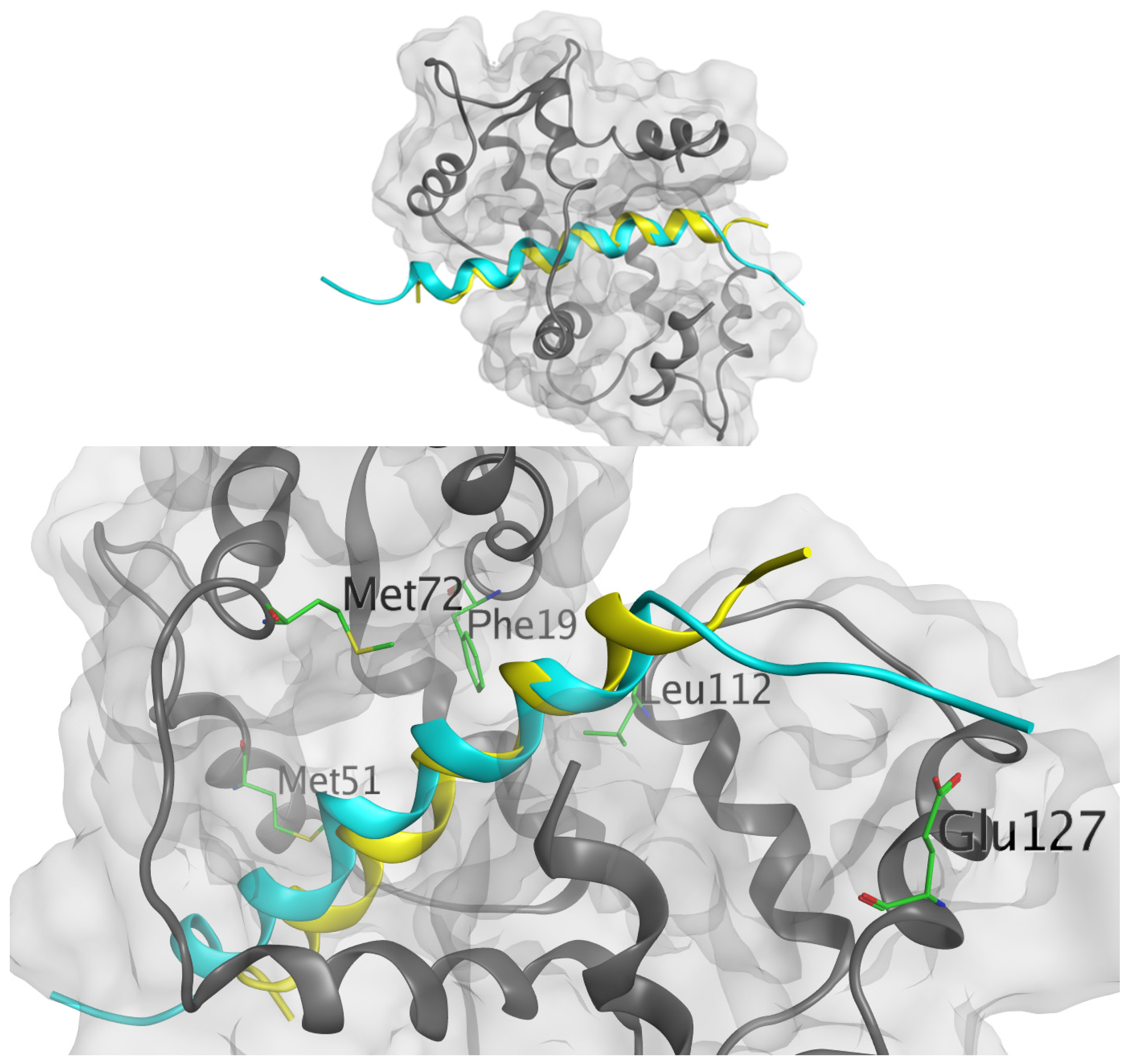 Scipharm 92 00017 g002 Scipharm 92 00017 g002
