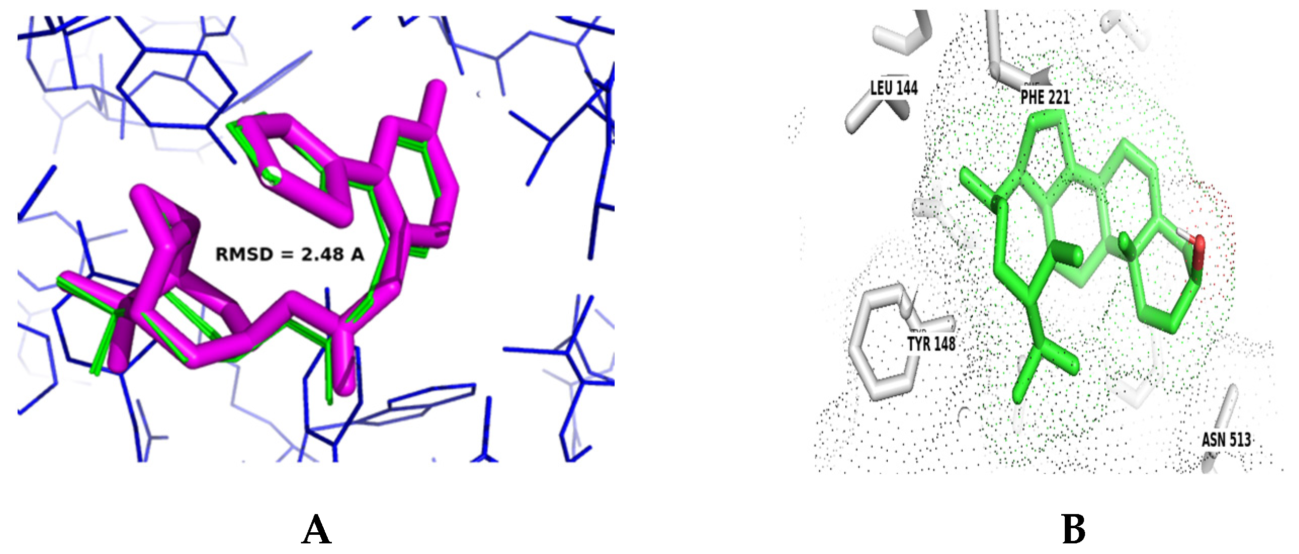 Scipharm 92 00019 g006
