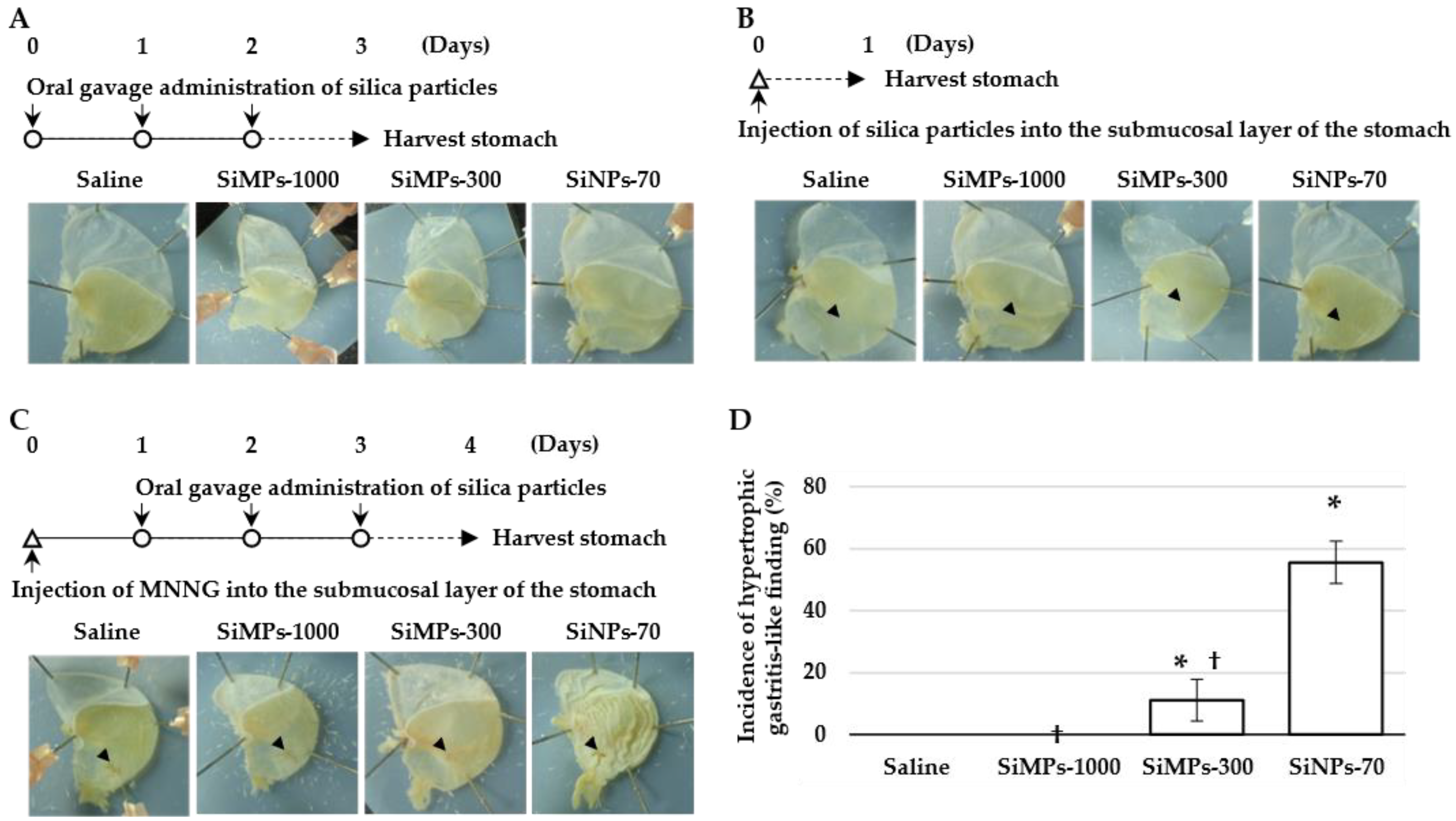 Scipharm 92 00020 g001