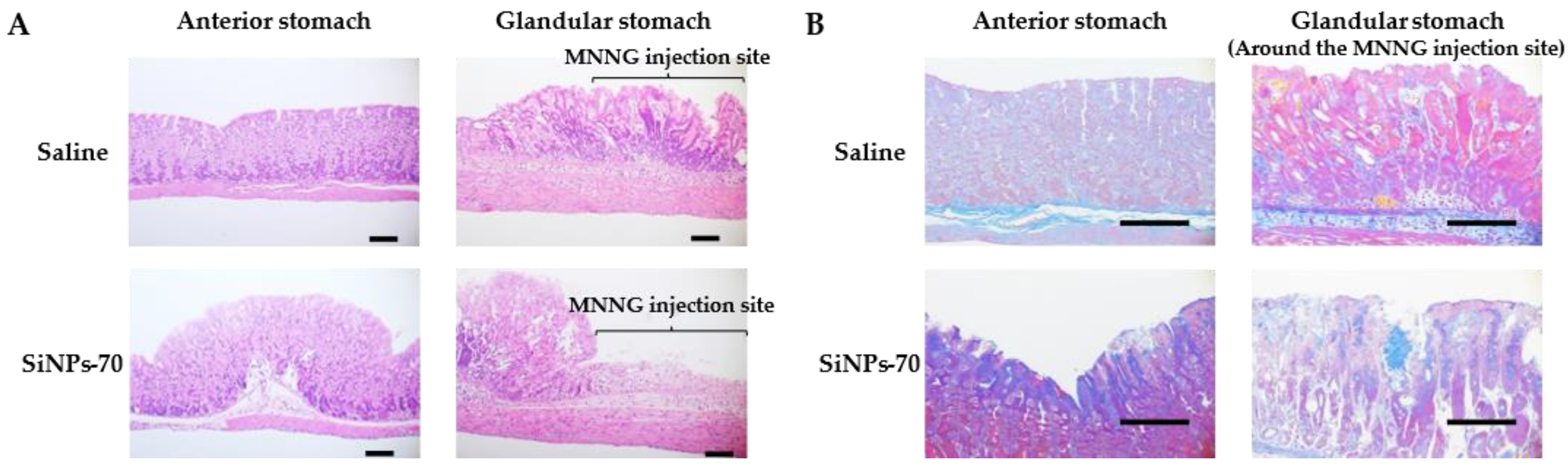 Scipharm 92 00020 g002