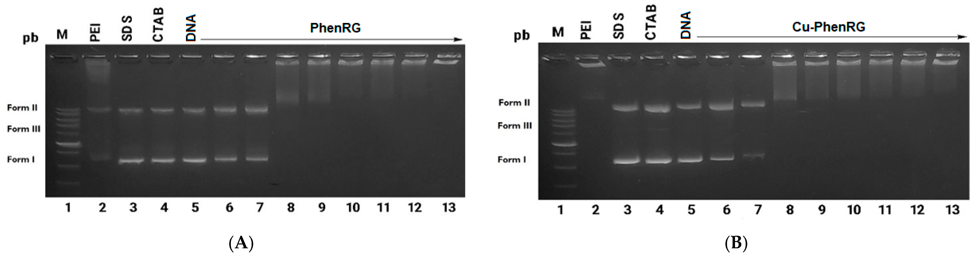 Scipharm 92 00021 g002