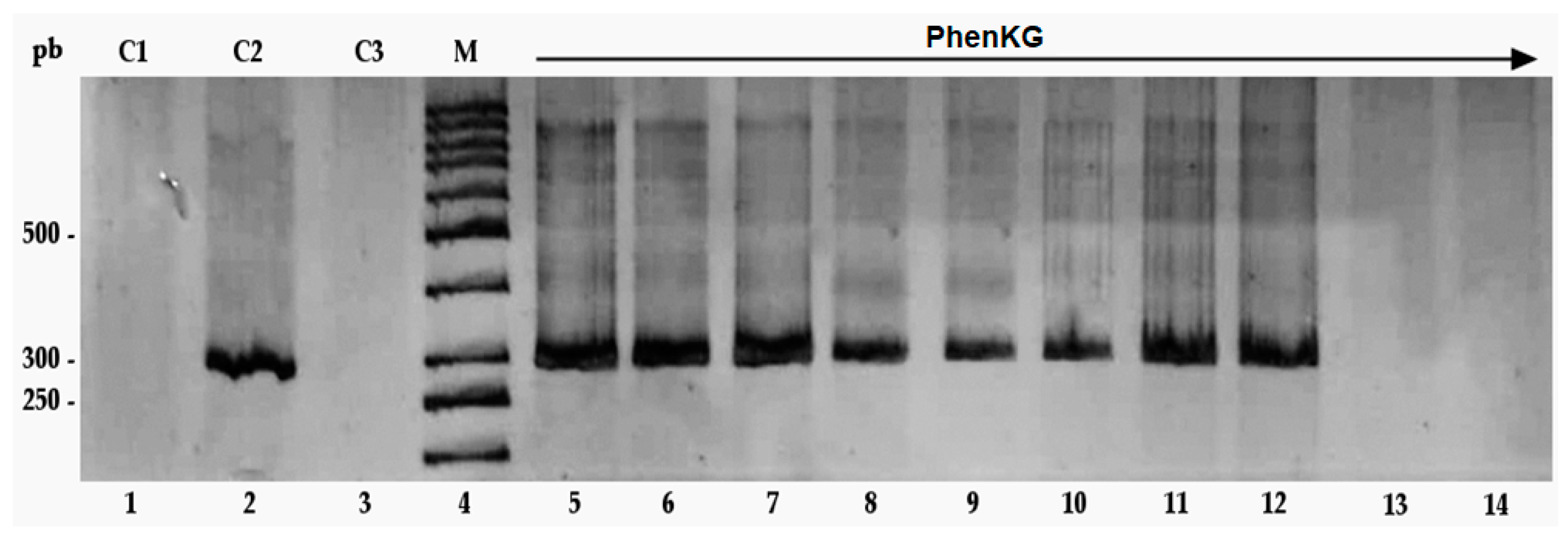 Scipharm 92 00021 g004