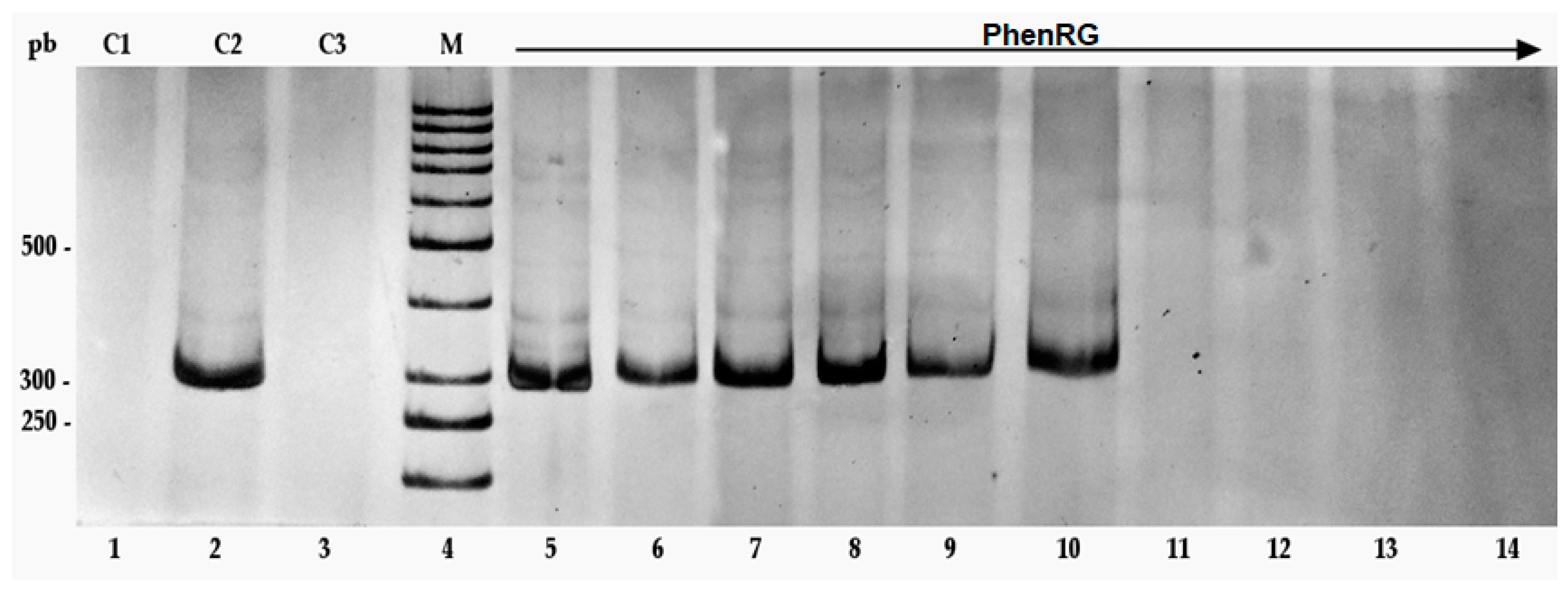 Scipharm 92 00021 g006