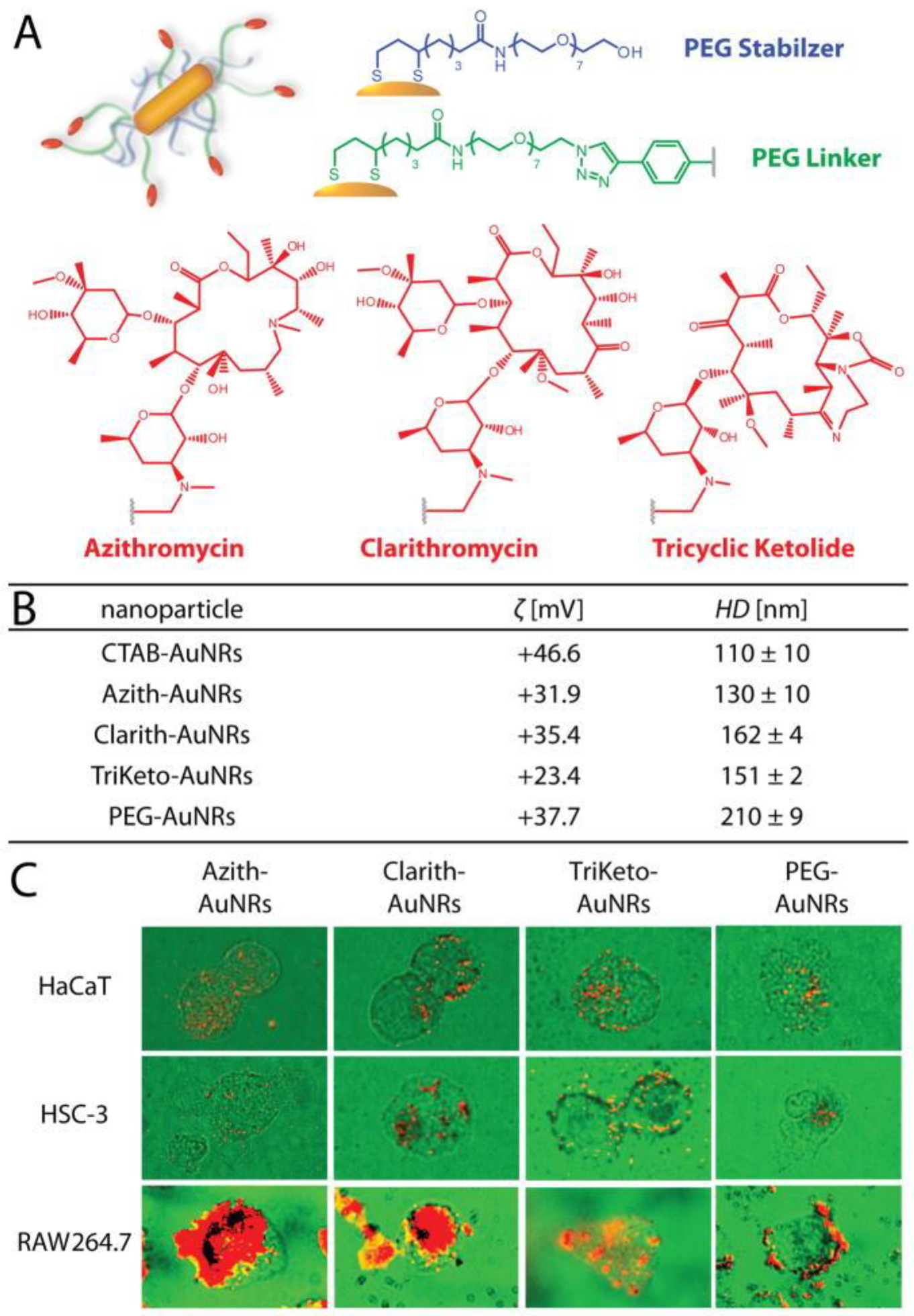 Scipharm 92 00028 g004
