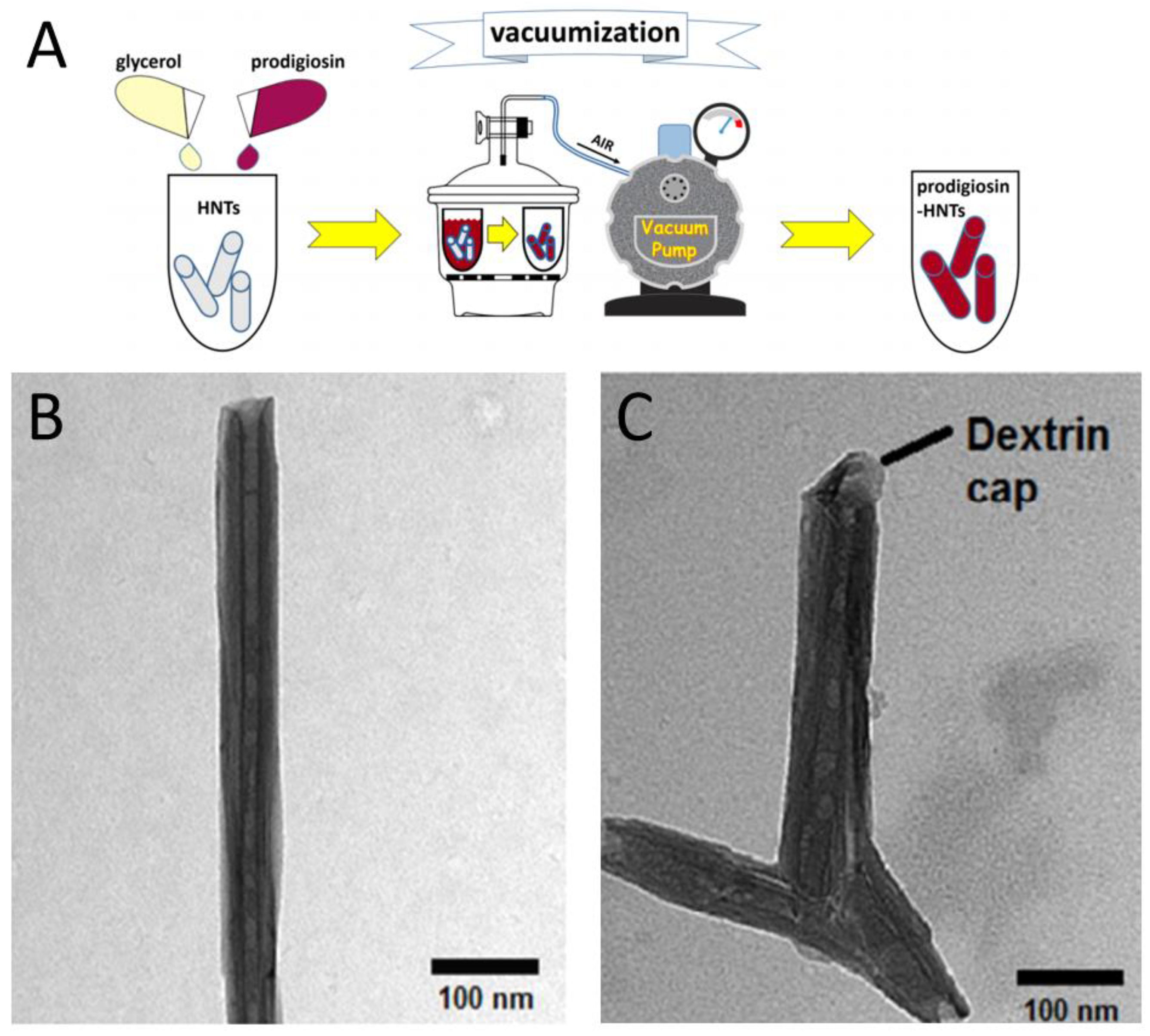 Scipharm 92 00028 g007