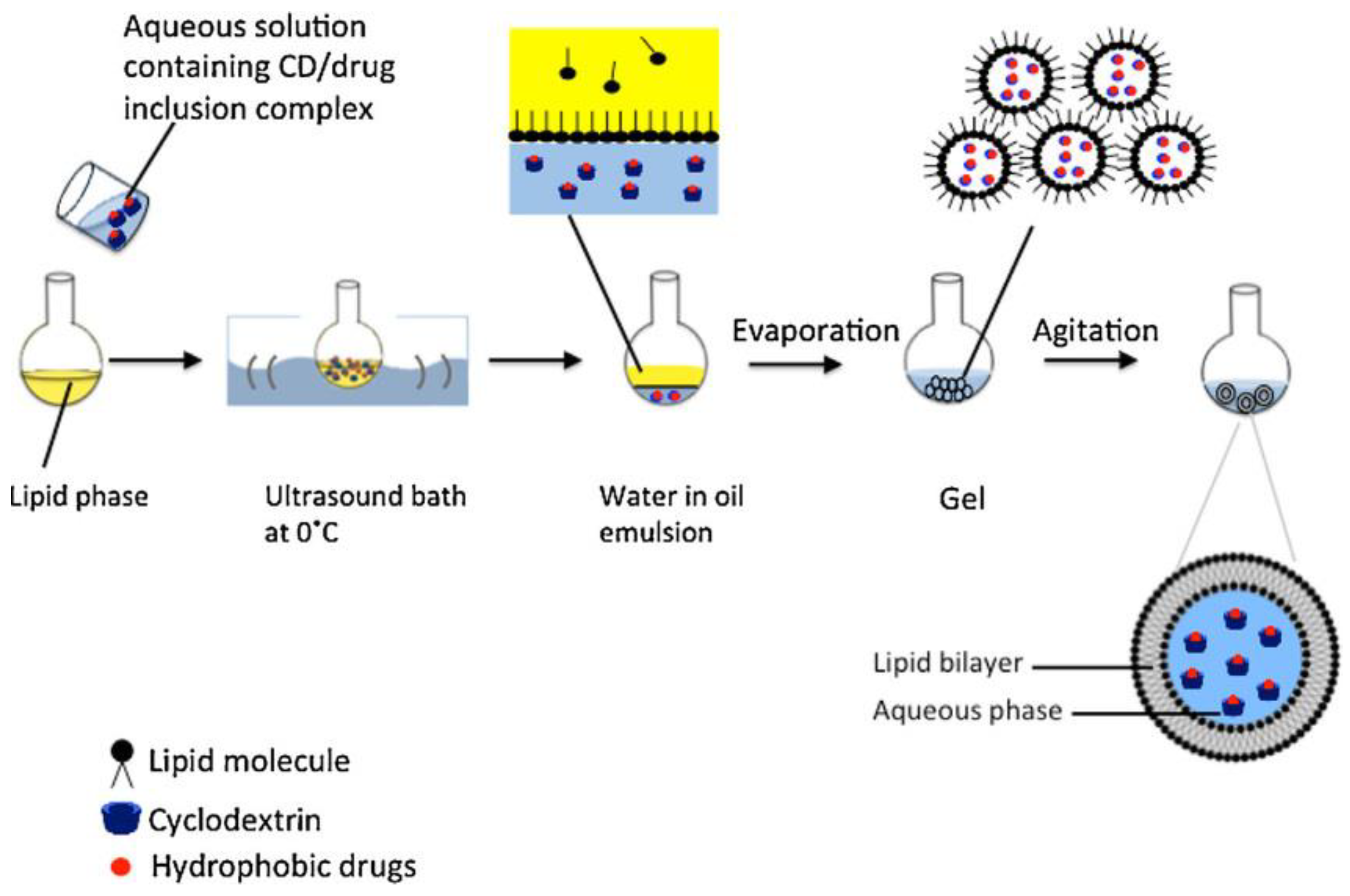 Scipharm 92 00028 g011
