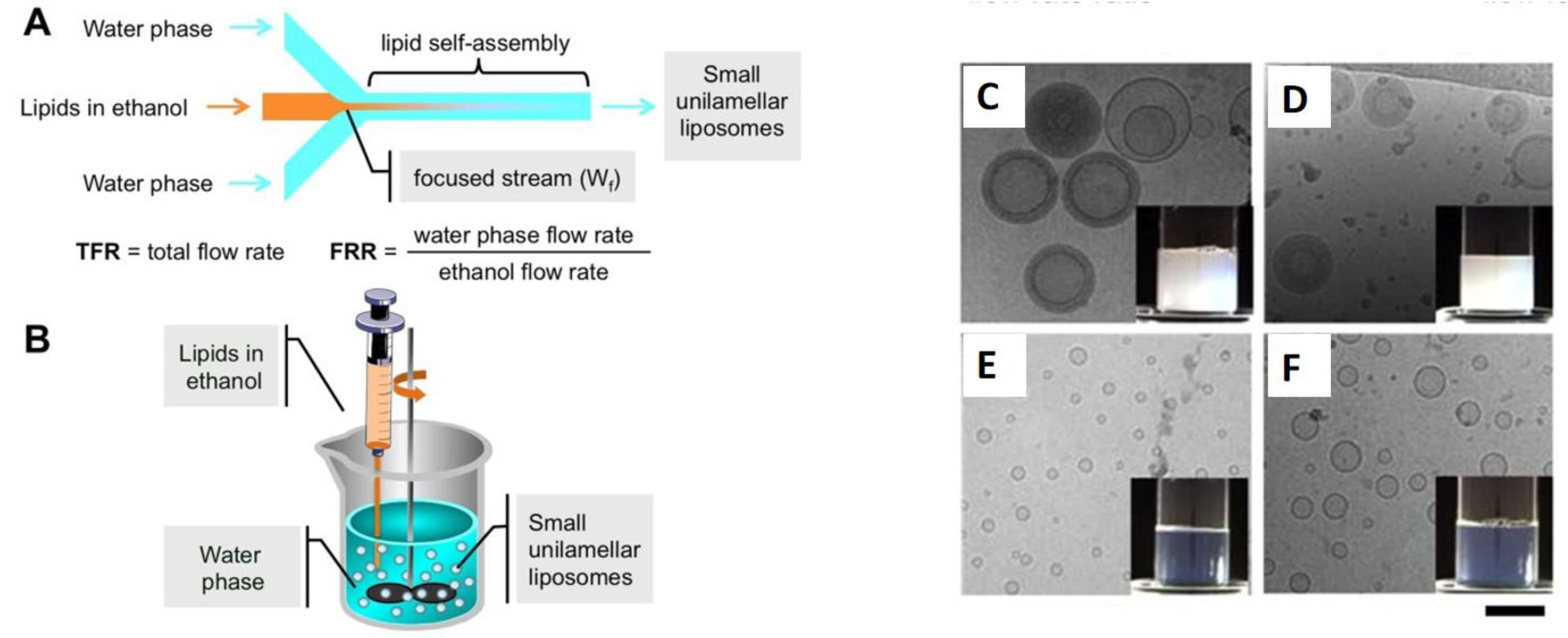 Scipharm 92 00028 g012
