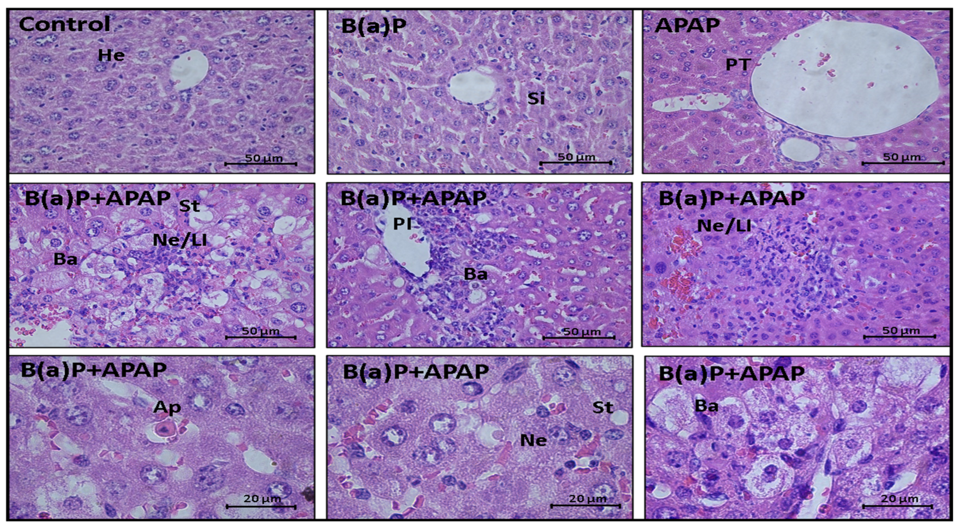 Scipharm 92 00030 g004