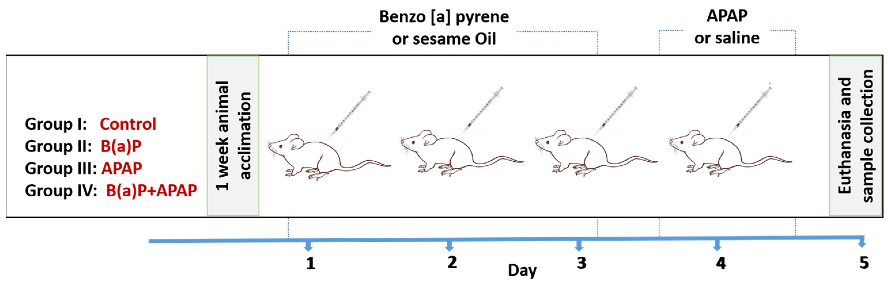 Scipharm 92 00030 g006