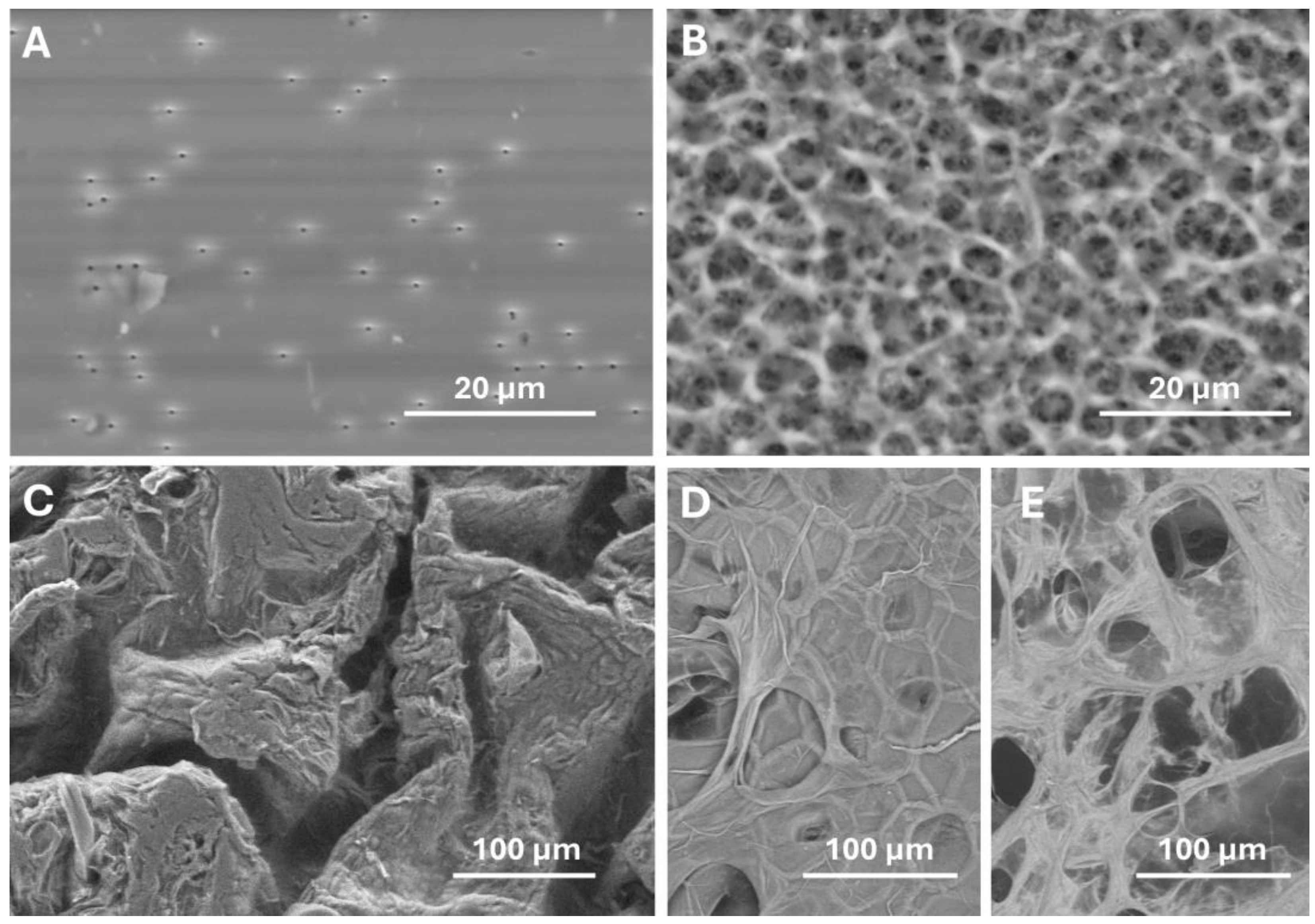 Scipharm 92 00035 g002