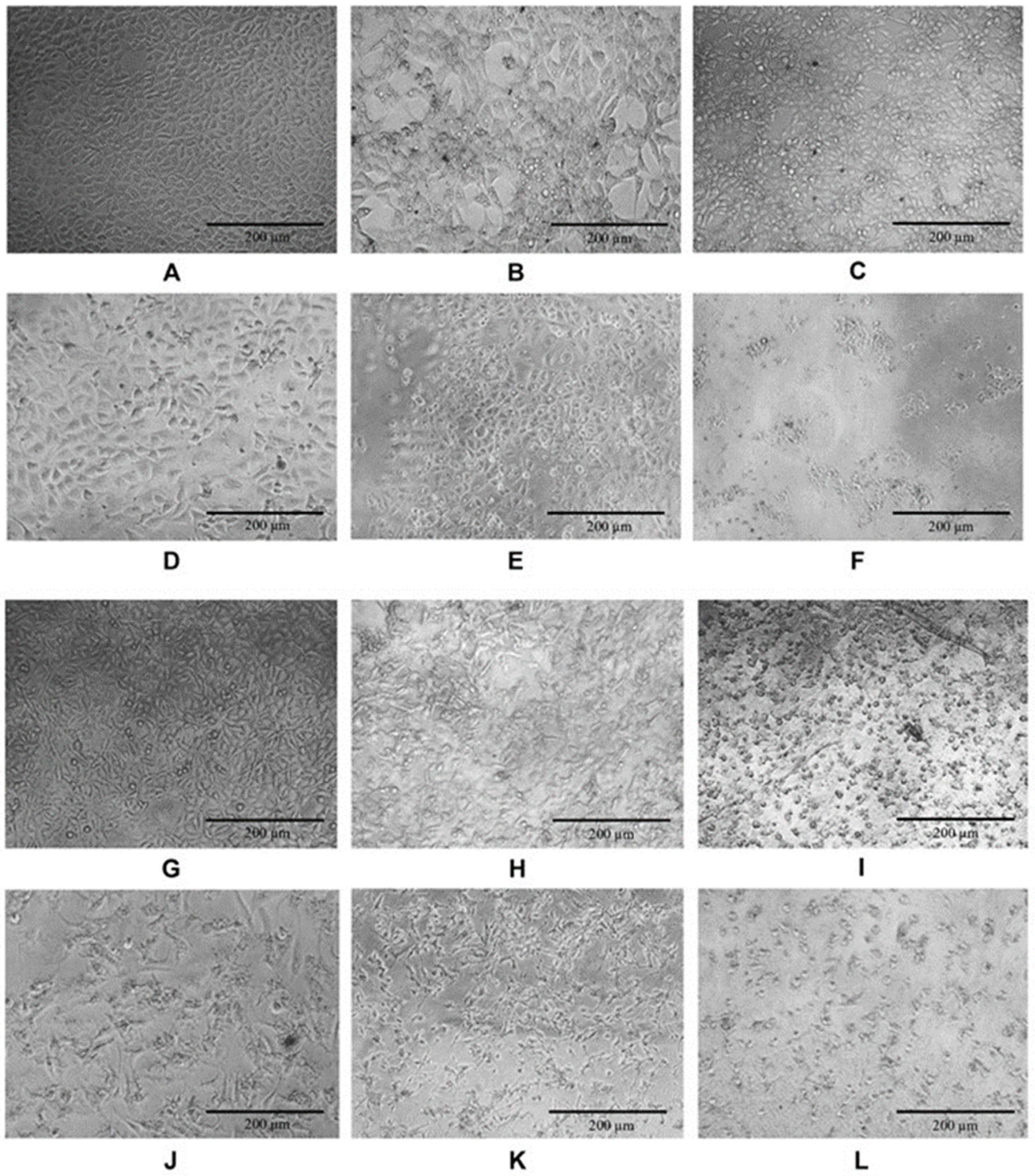 Scipharm 92 00041 g002