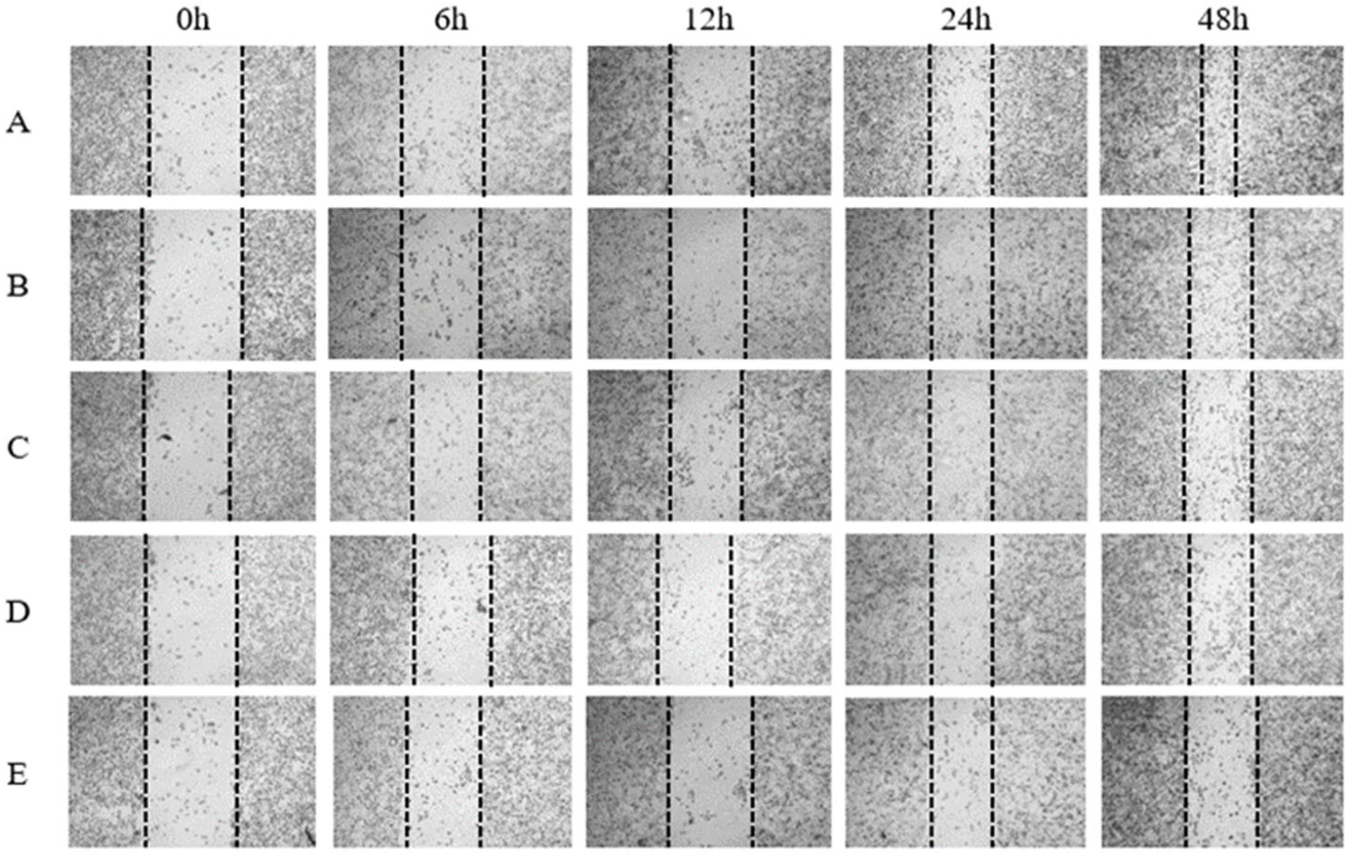 Scipharm 92 00041 g008
