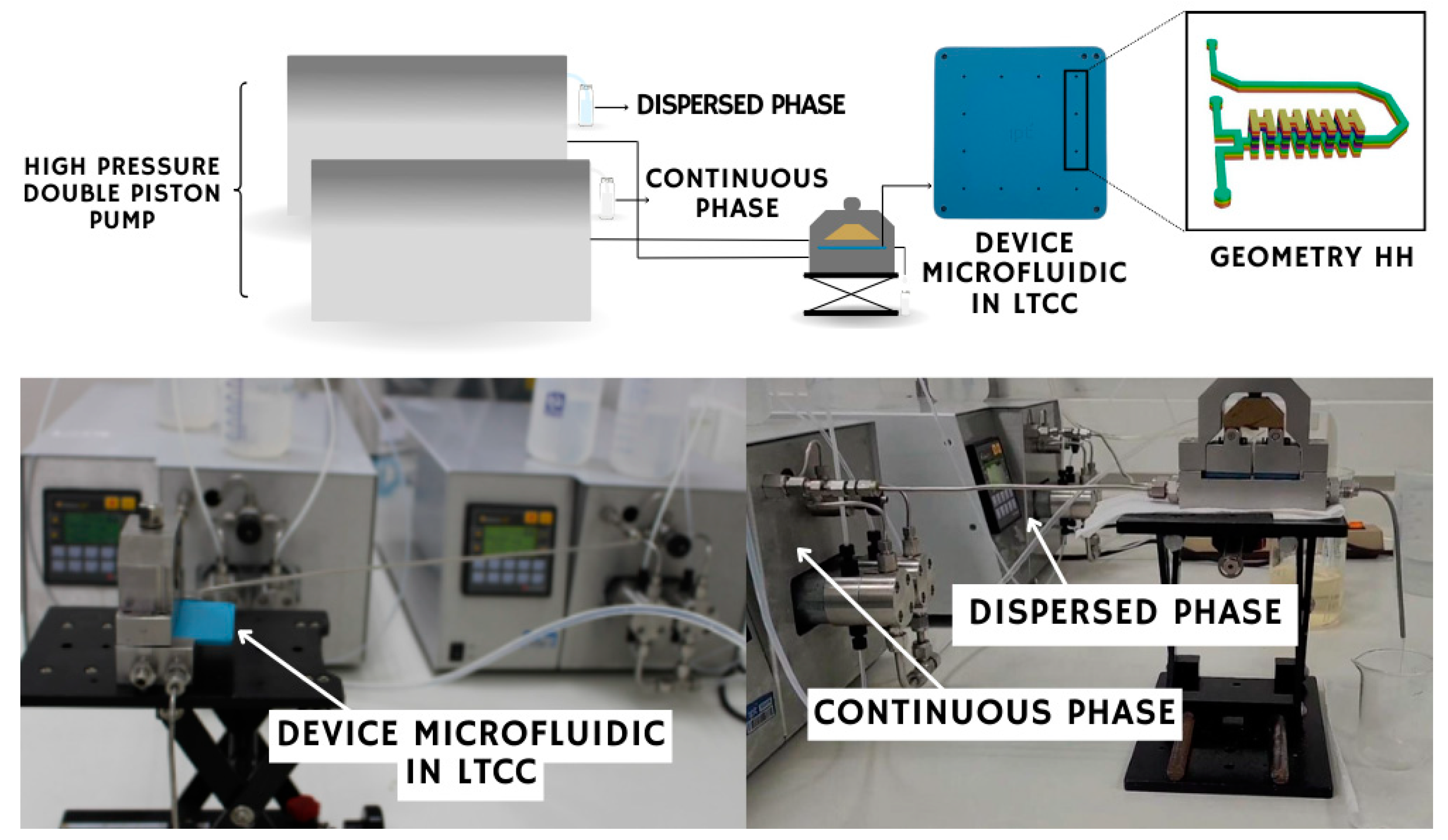 Scipharm 92 00043 g004