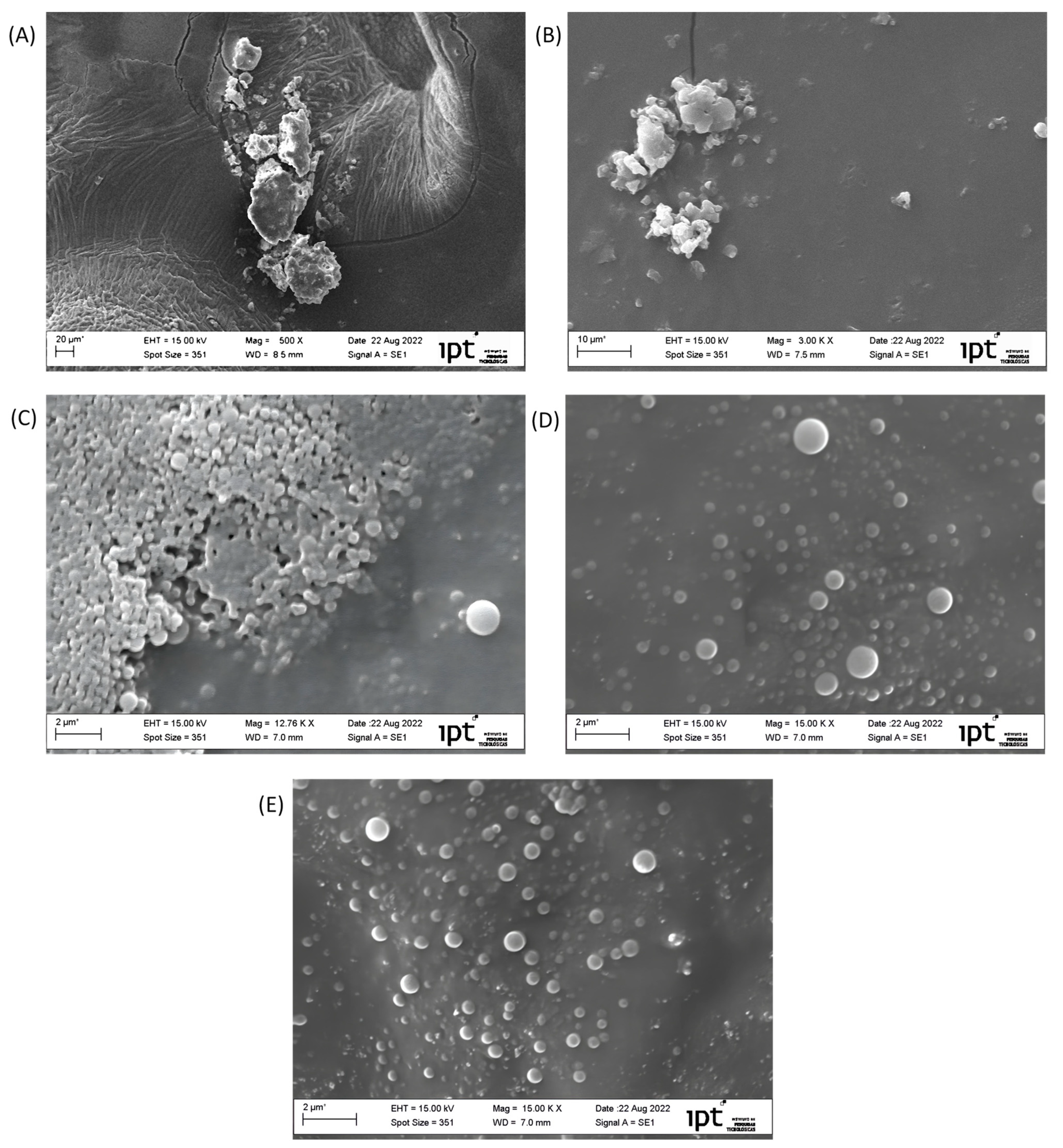 Scipharm 92 00043 g006