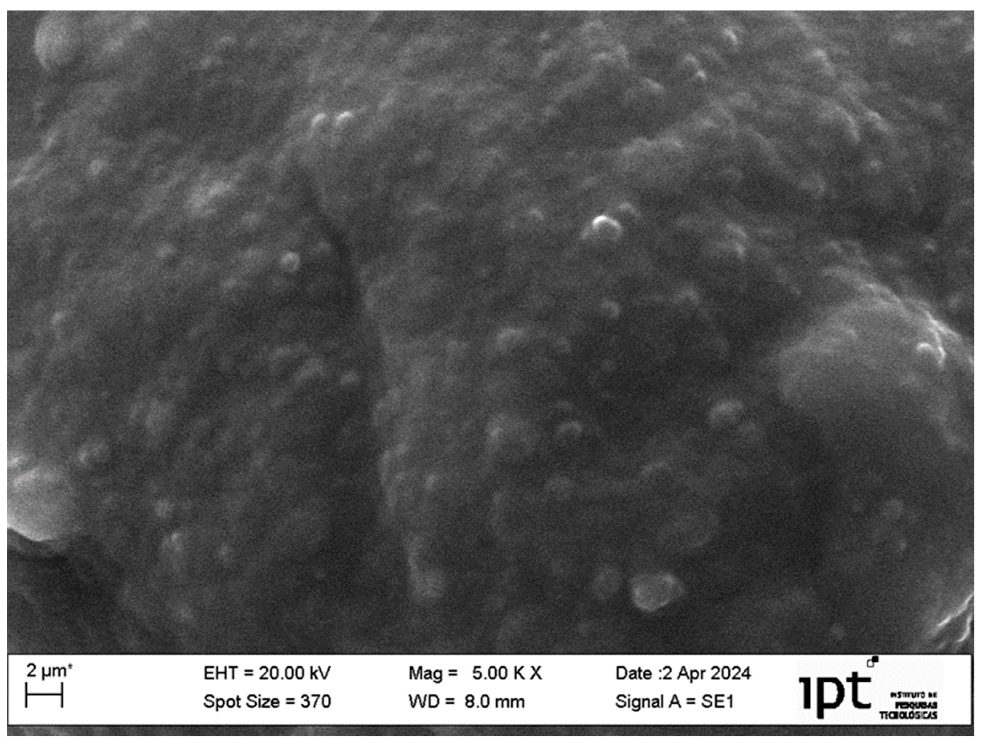 Scipharm 92 00043 g008