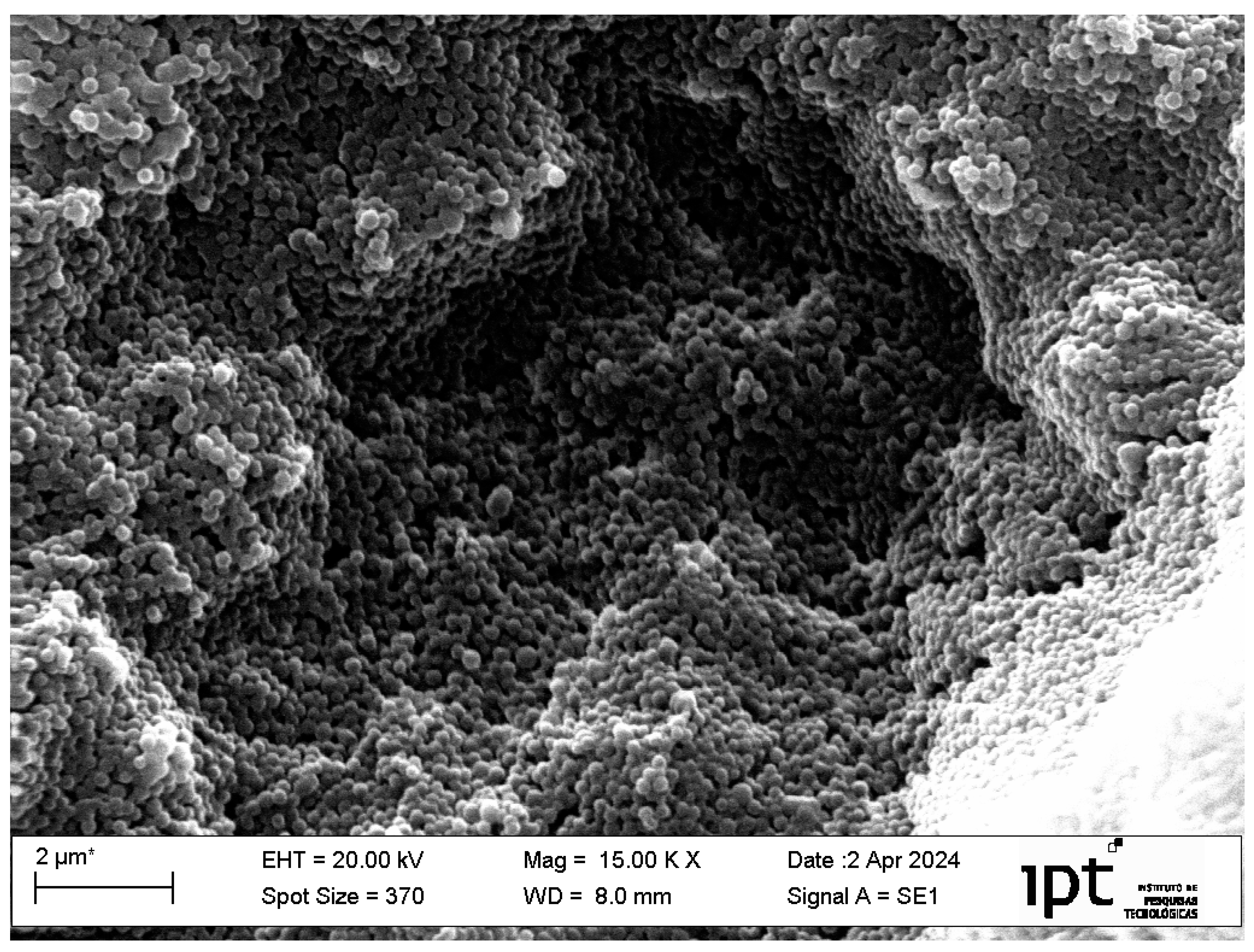 Scipharm 92 00043 g009