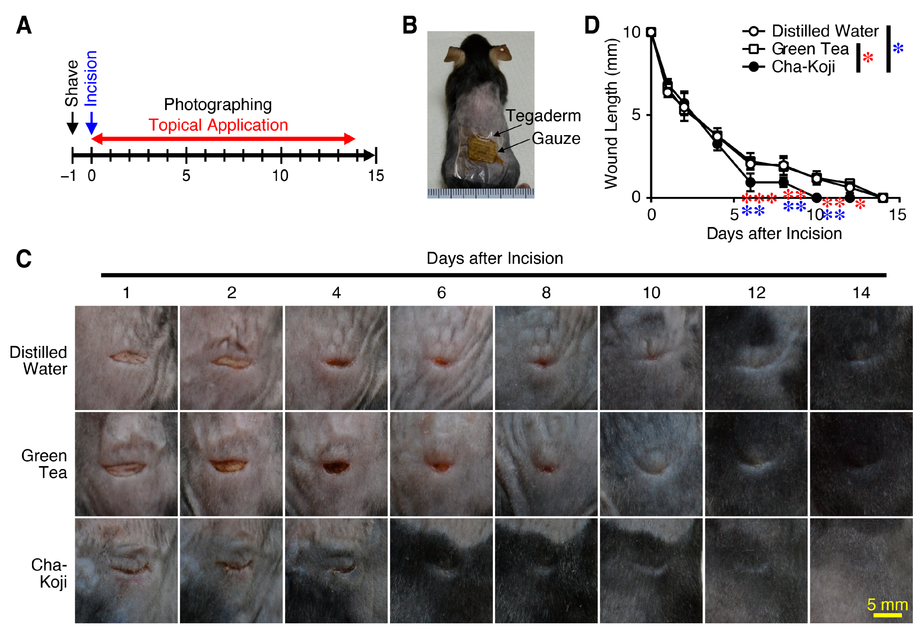 Scipharm 92 00044 g001