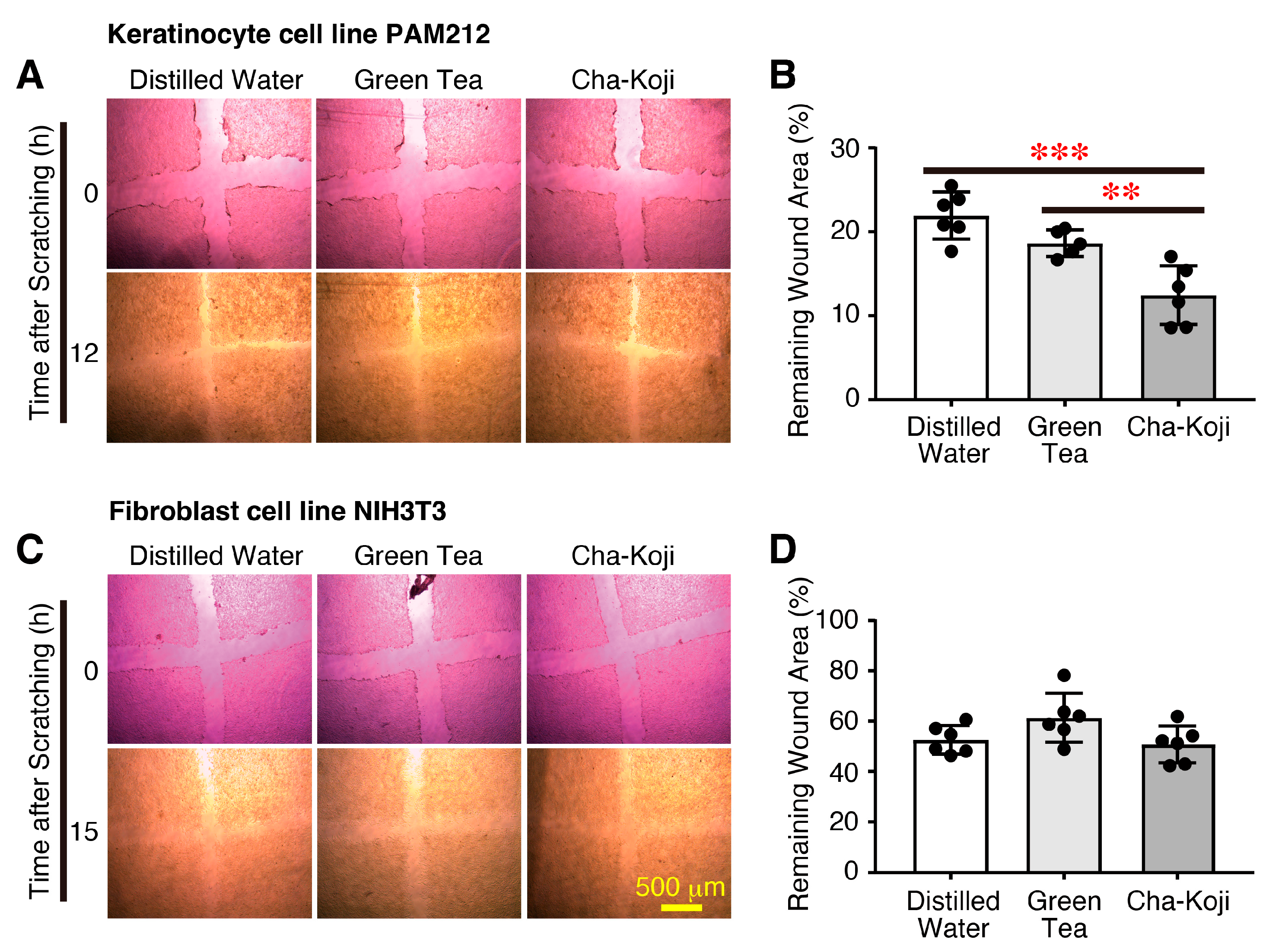Scipharm 92 00044 g003
