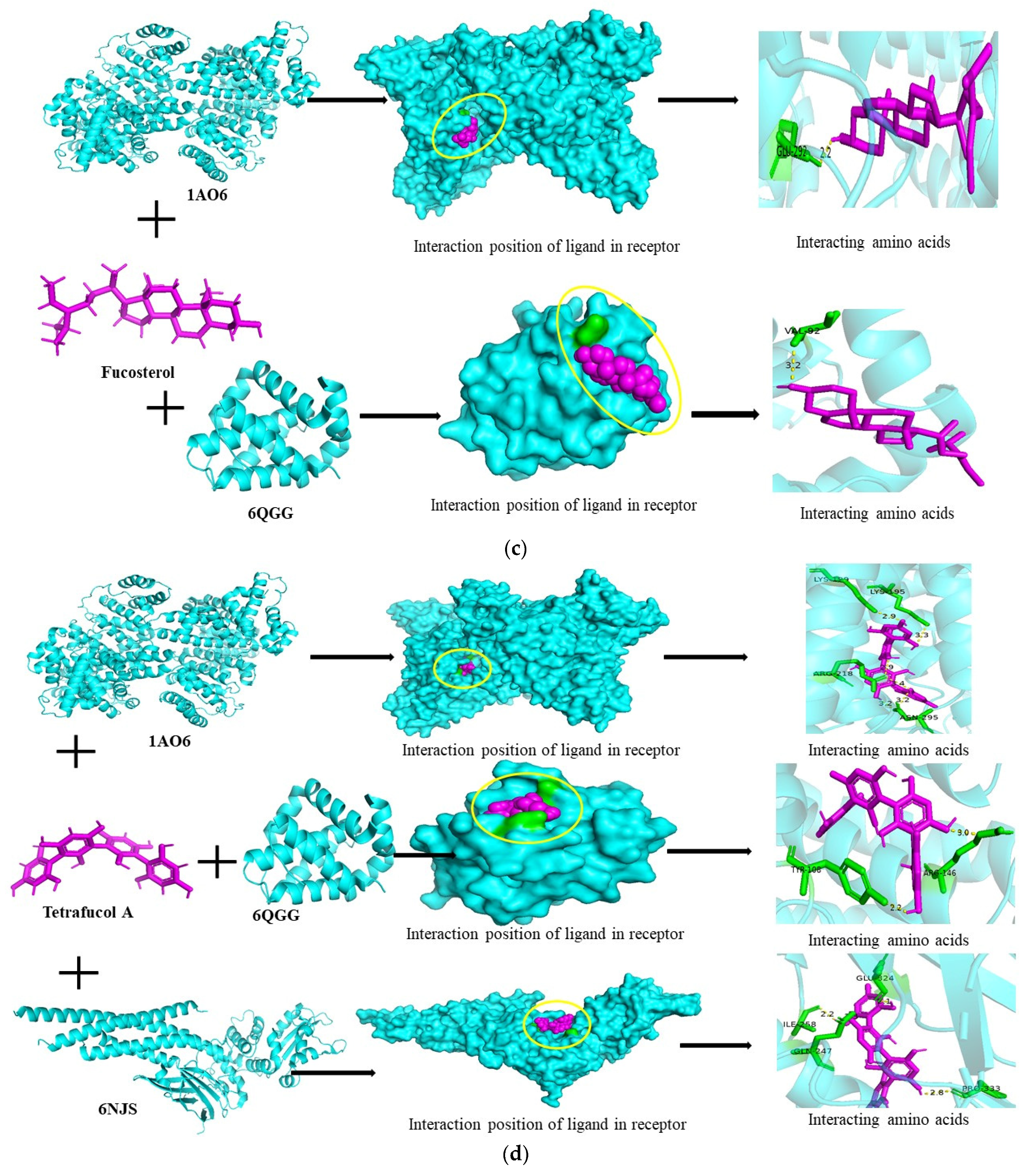 Scipharm 92 00049 g006b Scipharm 92 00049 g006b