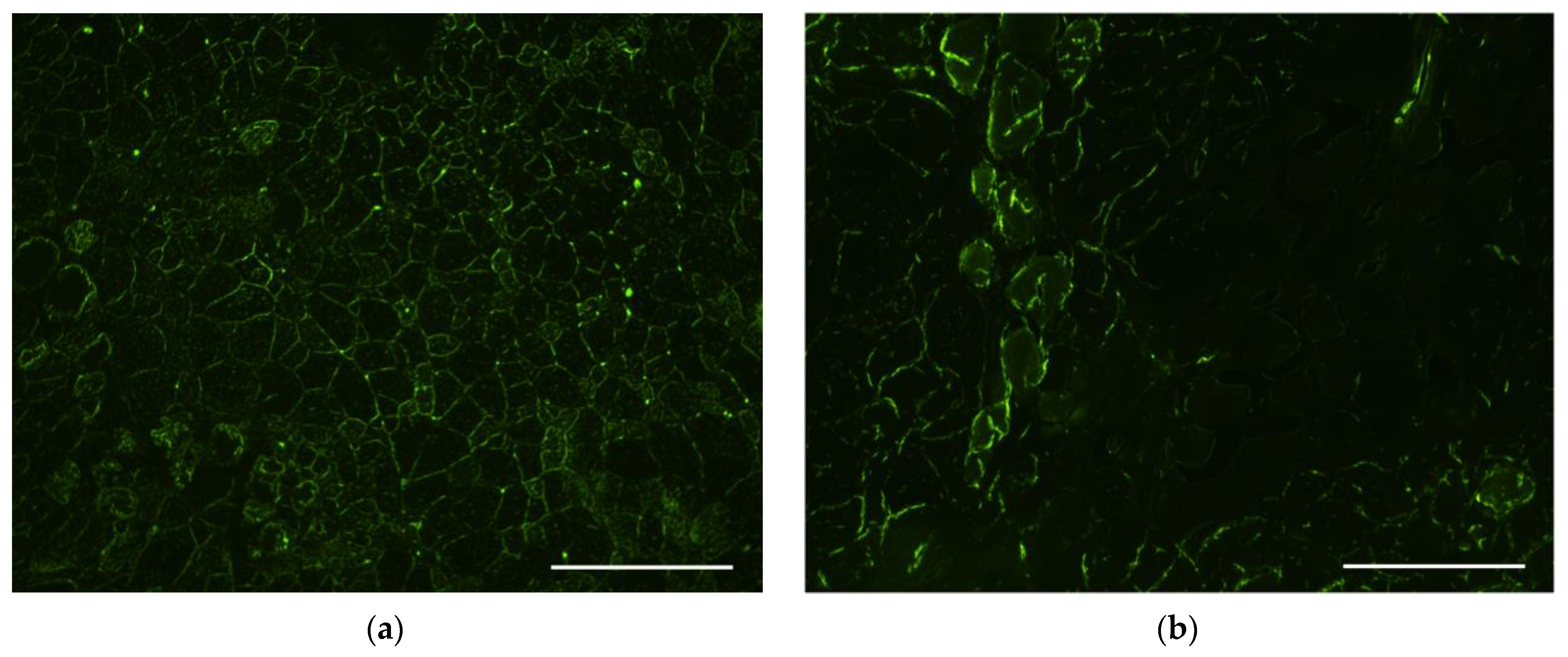 Scipharm 92 00051 g006a