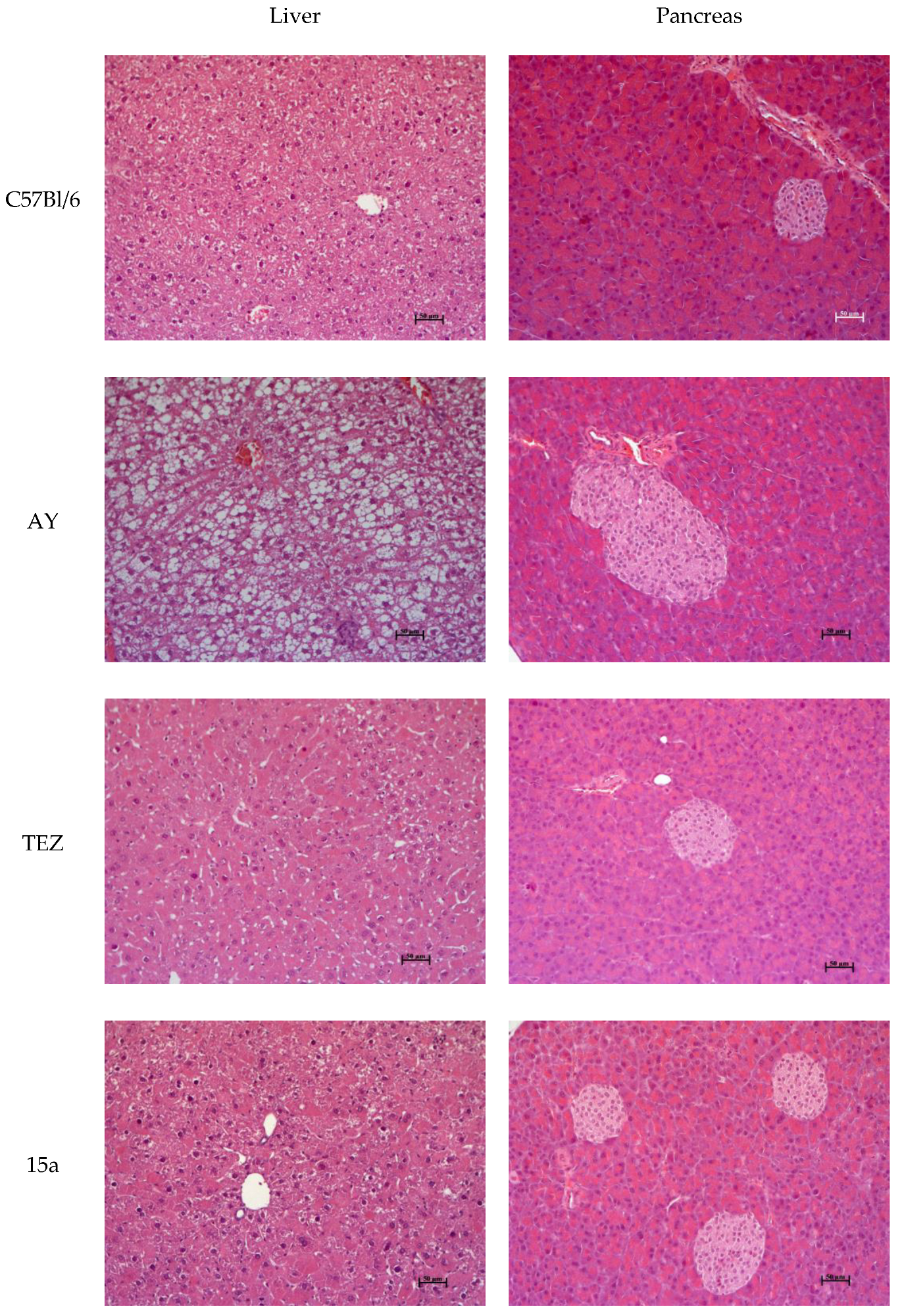 Scipharm 92 00065 g007 Scipharm 92 00065 g007
