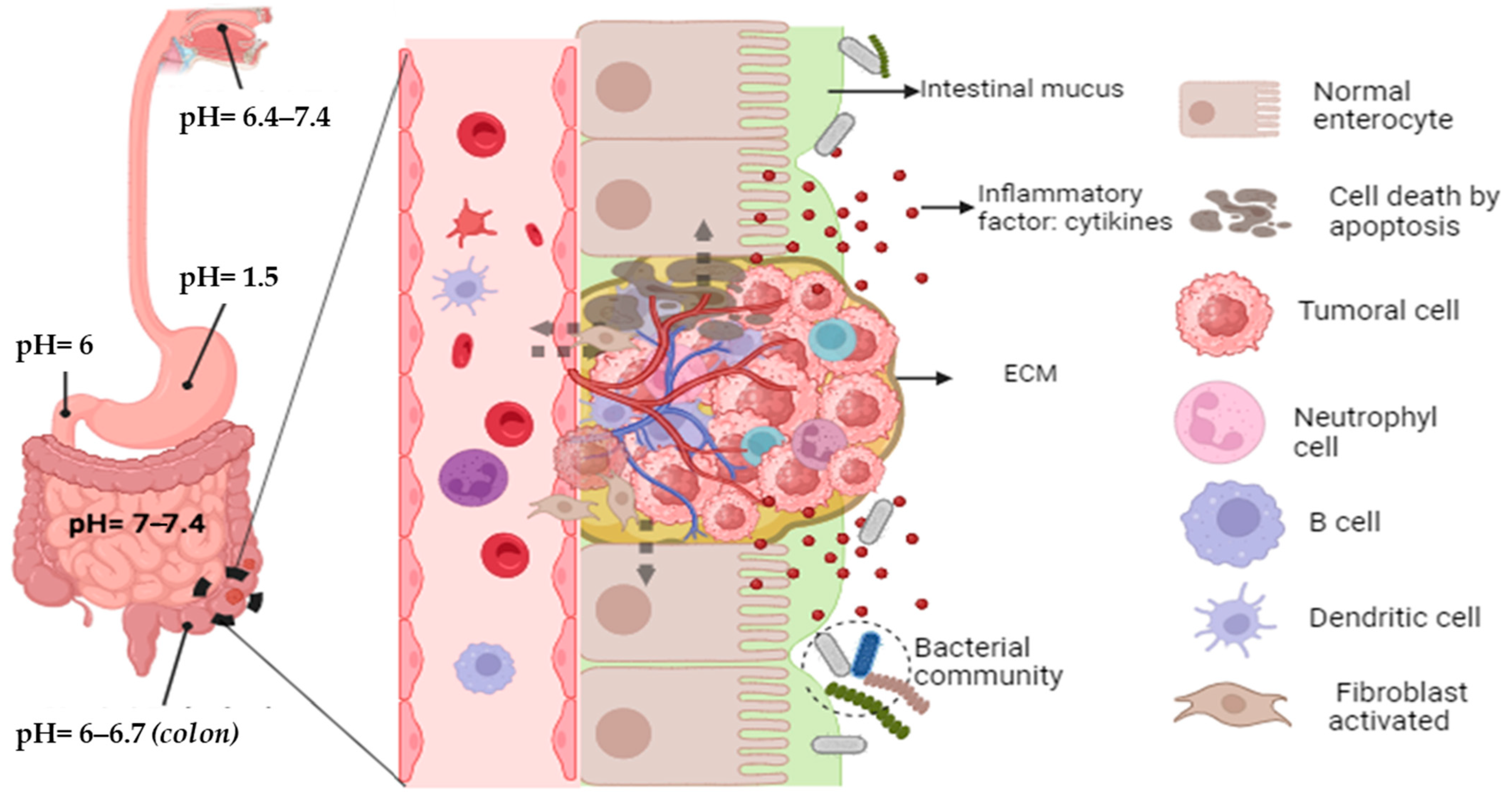 Scipharm 93 00001 g002