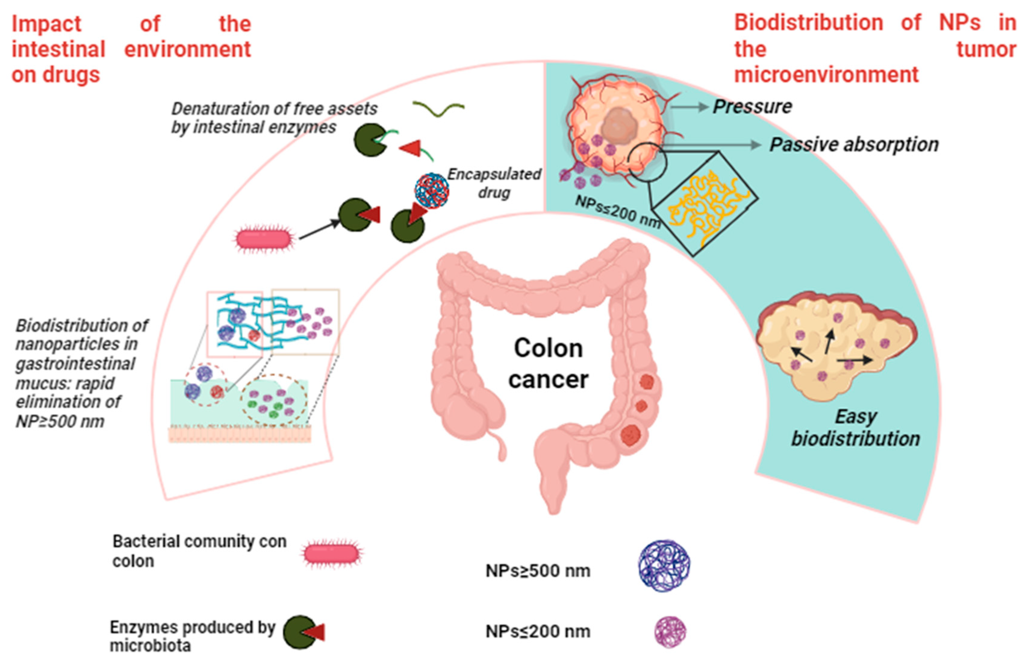 Scipharm 93 00001 g003